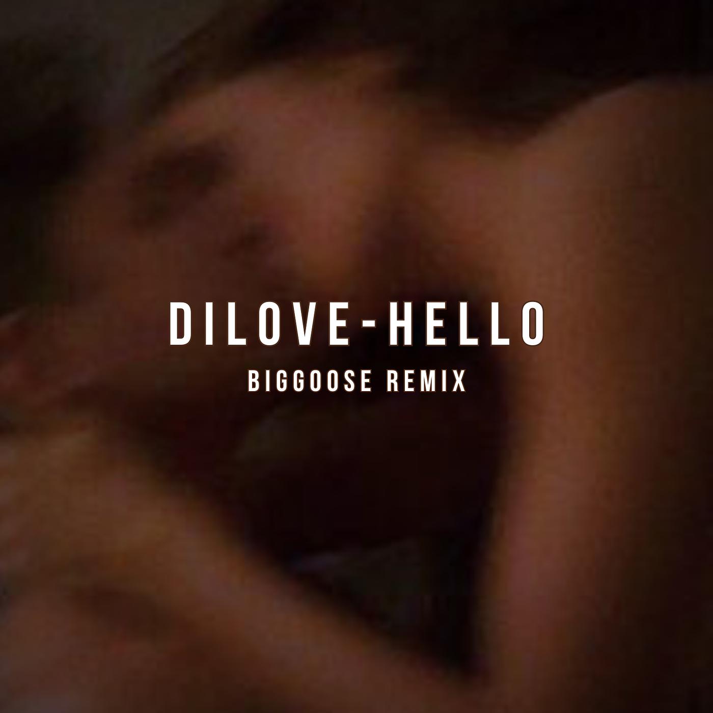 Постер альбома Hello (Biggoose Remix)