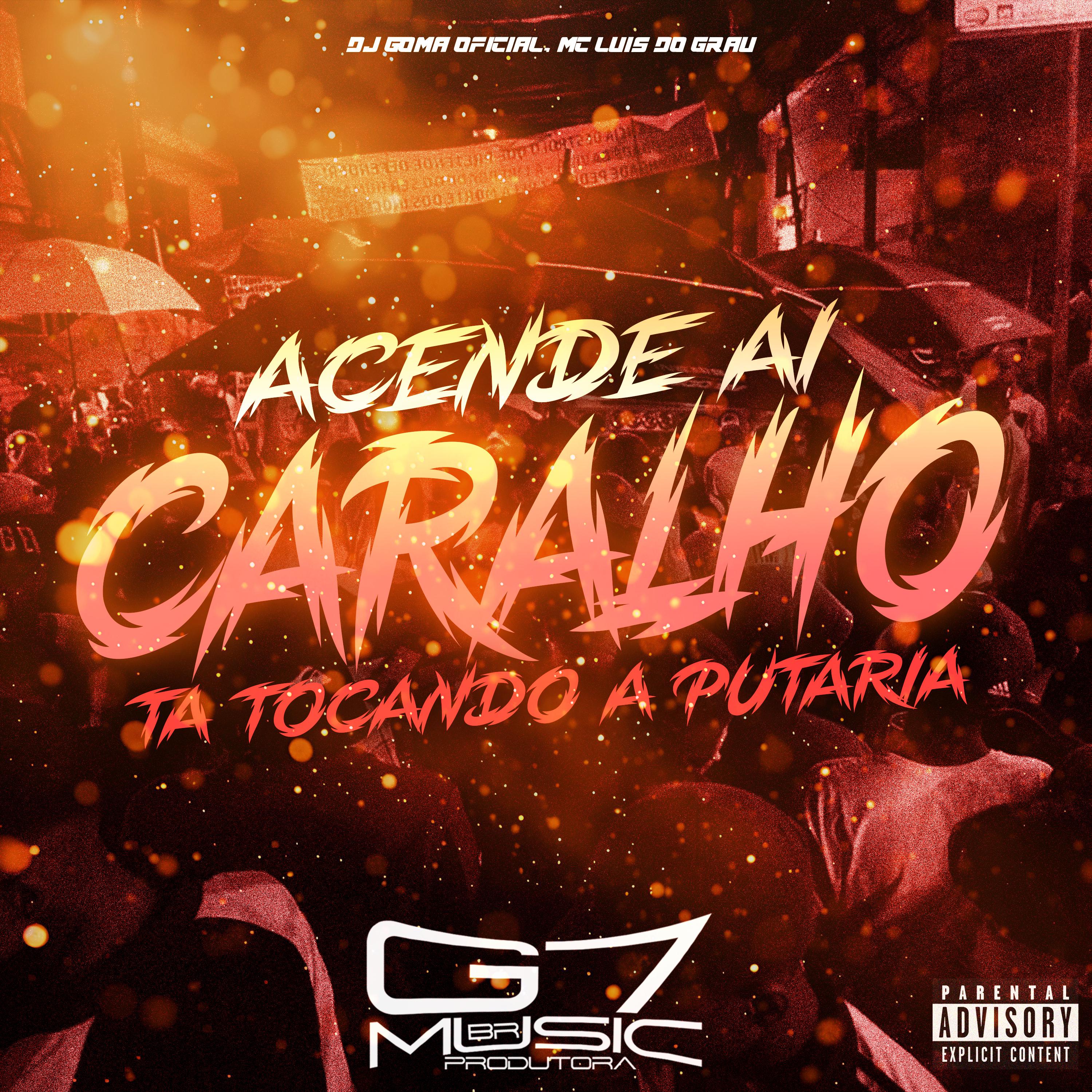 Постер альбома Acende Ai Caralho - Ta Tocando a Putaria