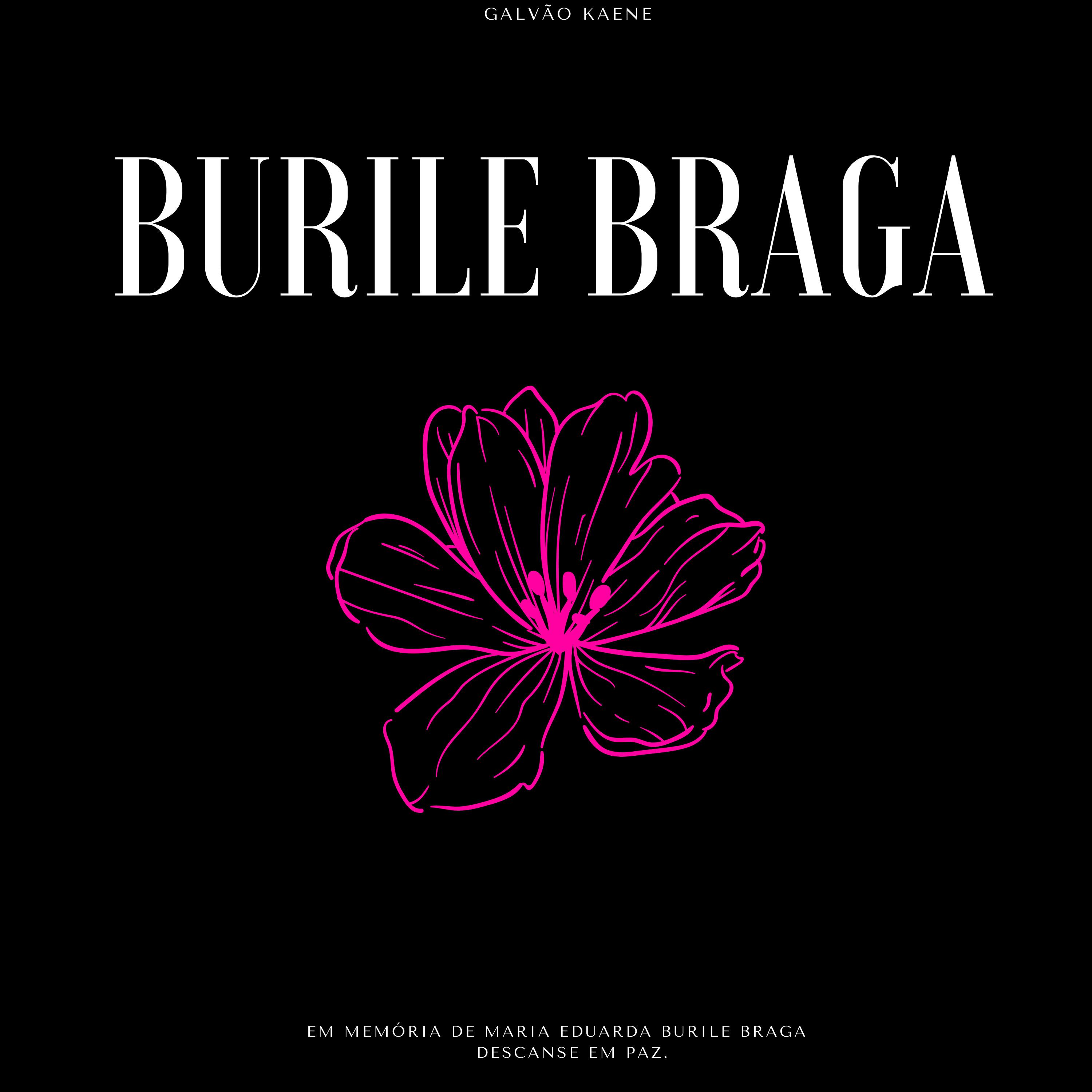 Постер альбома Burile Braga