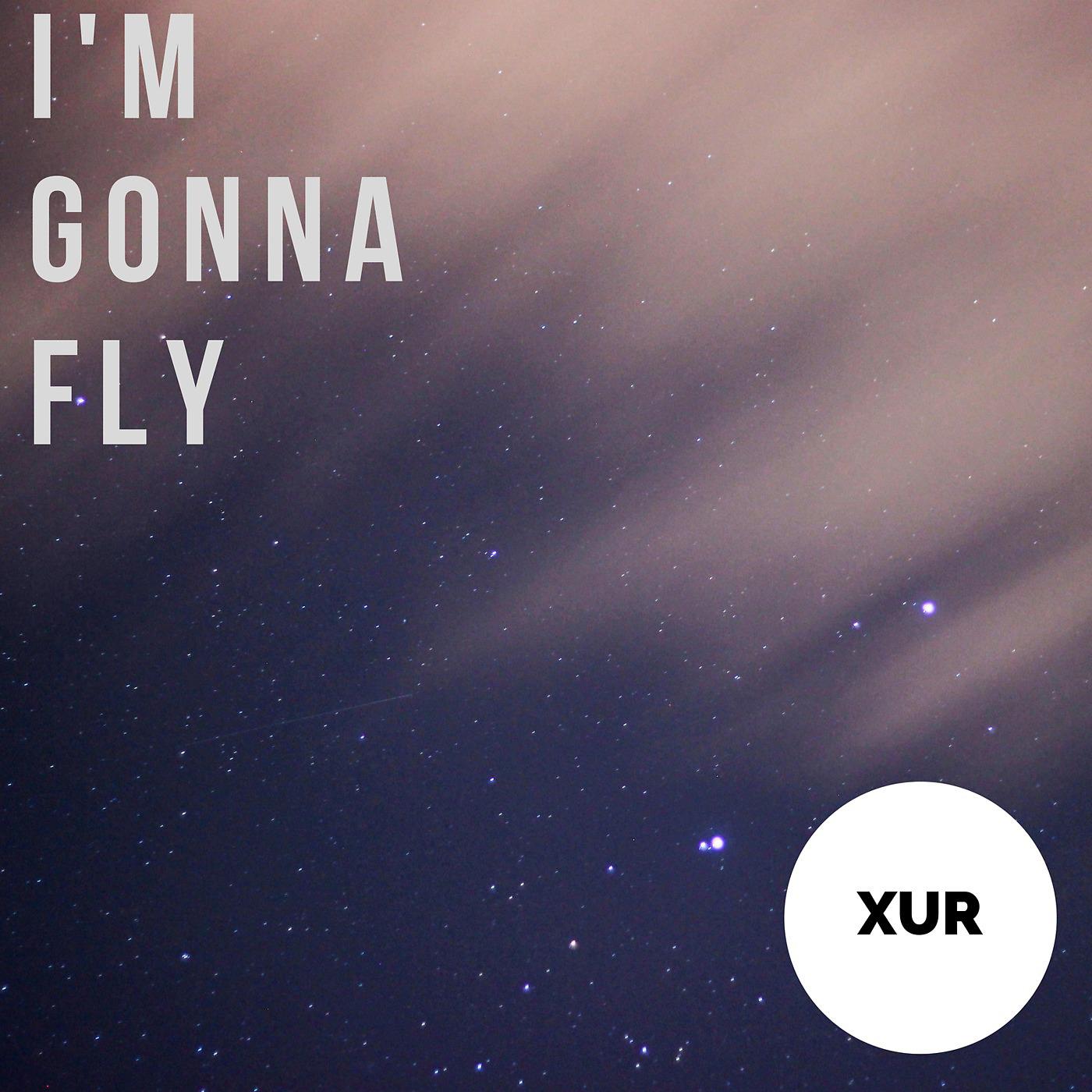 Постер альбома I'm Gonna Fly