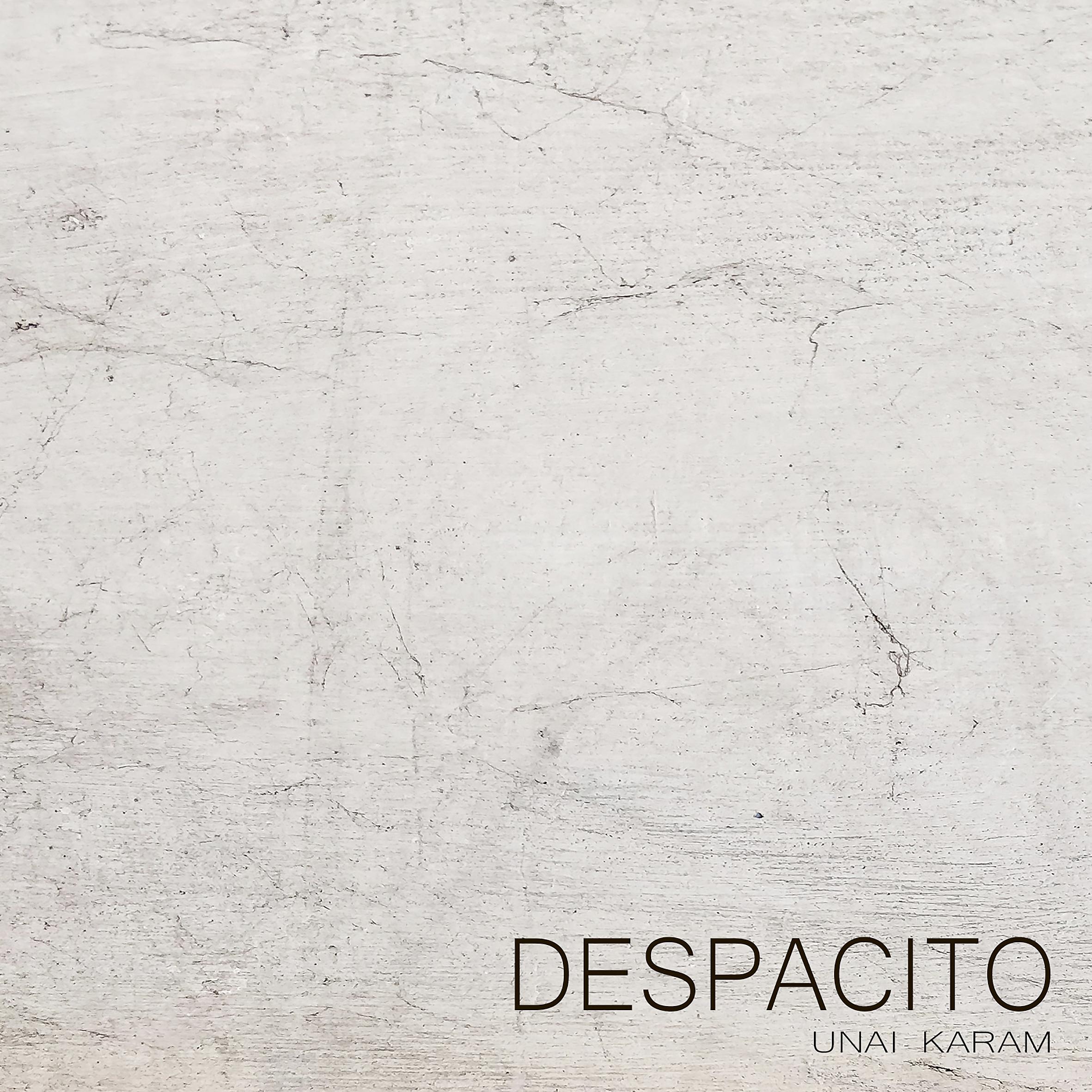 Постер альбома Despacito (Piano Cover)