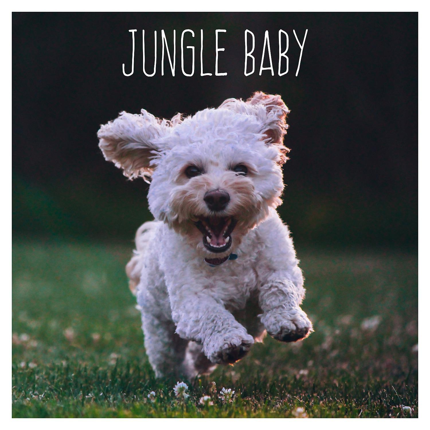 Постер альбома Jungle Baby
