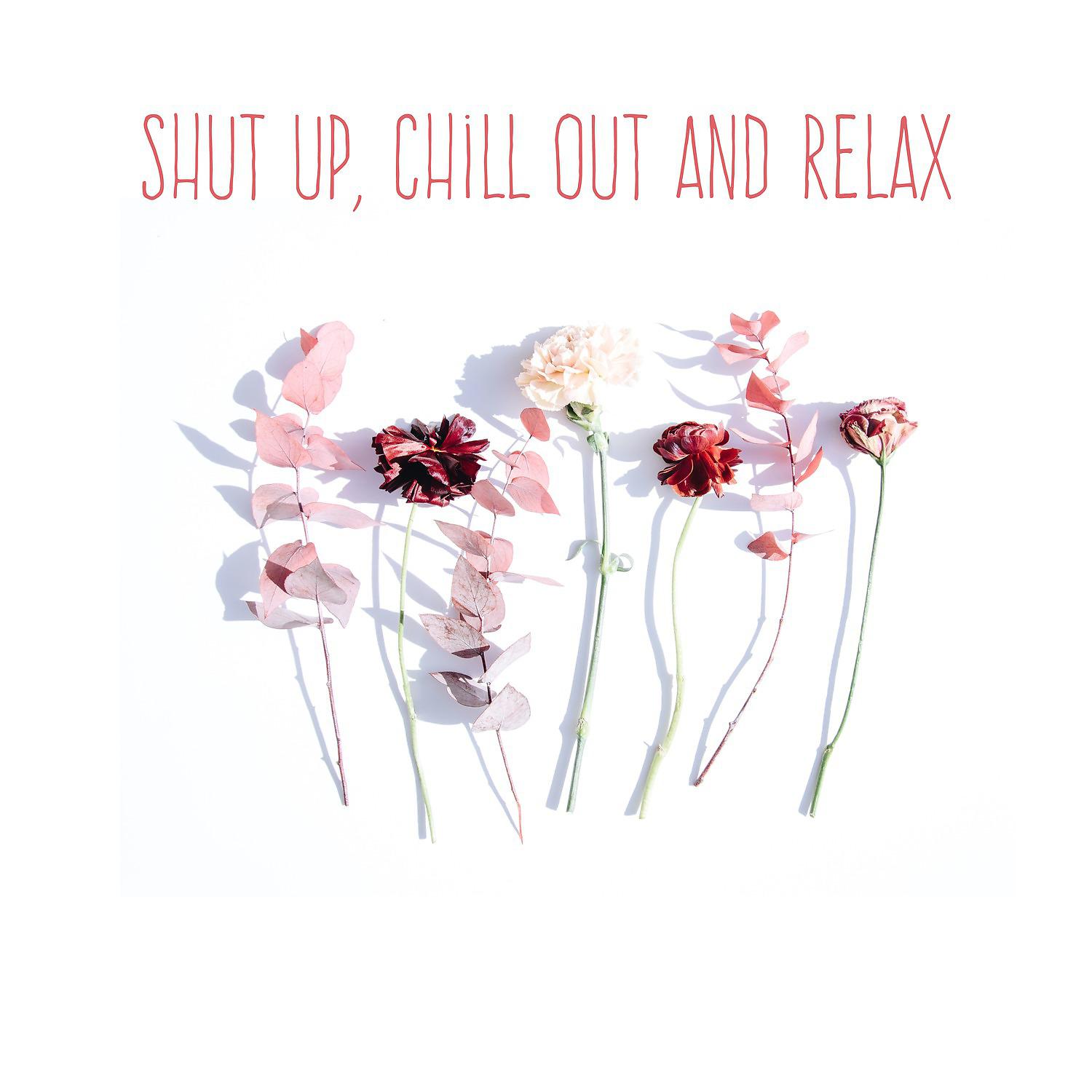 Постер альбома Shut Up, Chill Out and Relax