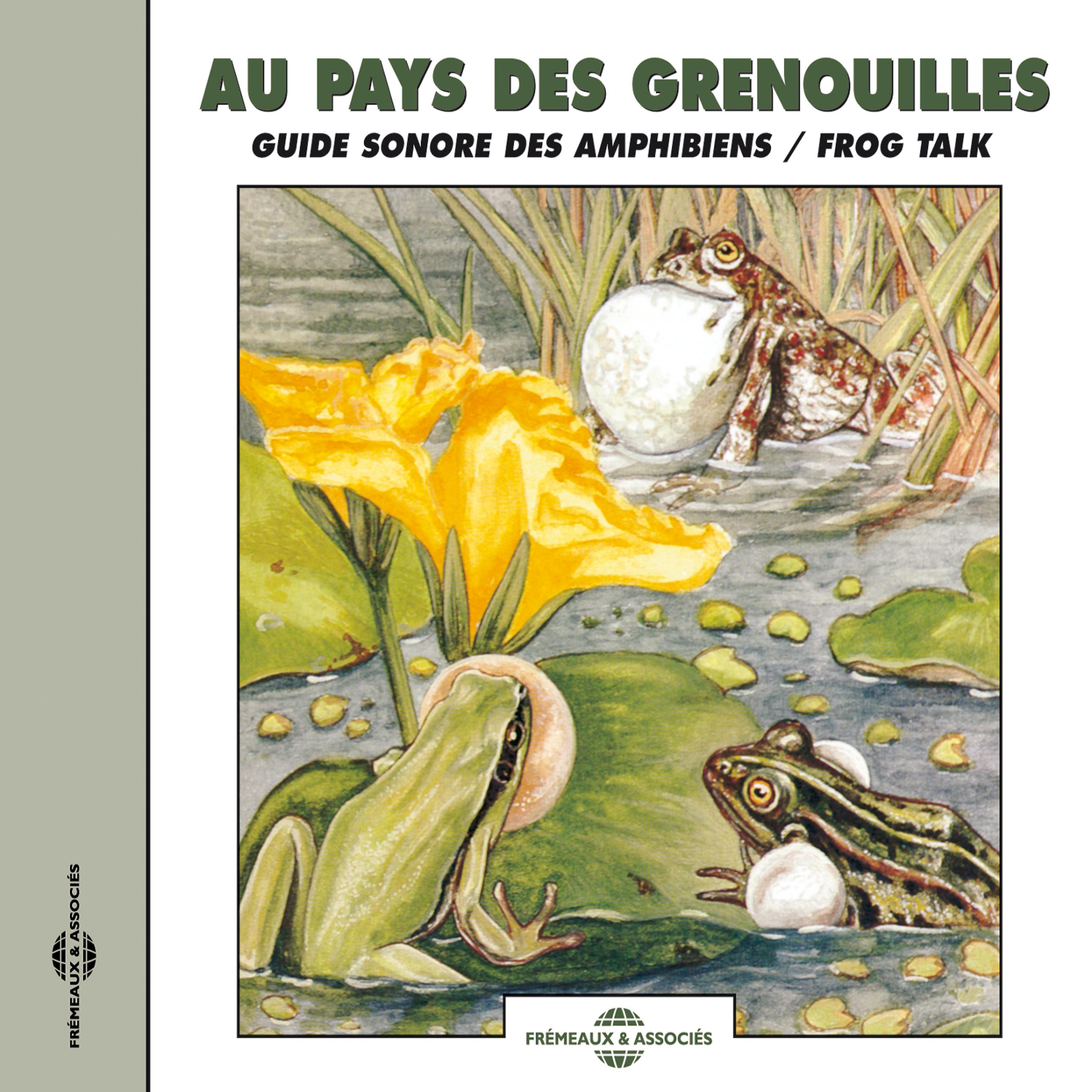 Постер альбома Au Pays Des Grenouilles