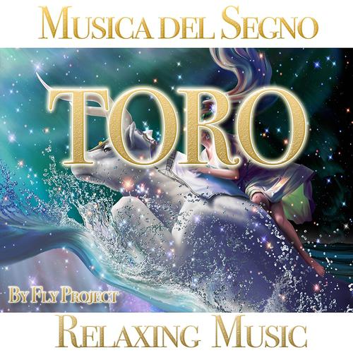 Постер альбома Toro (Relaxing Music)