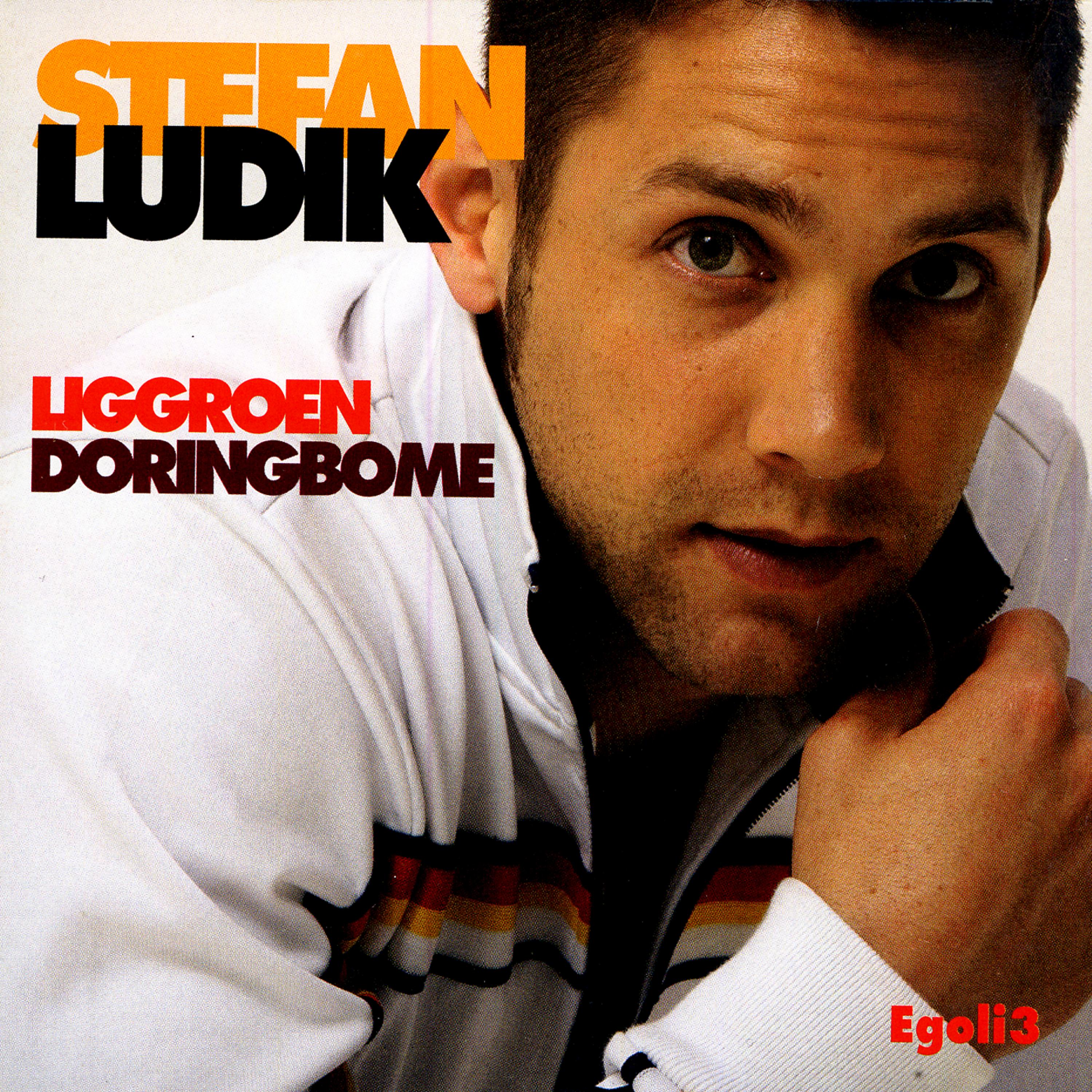 Постер альбома Liggroen Doringbome