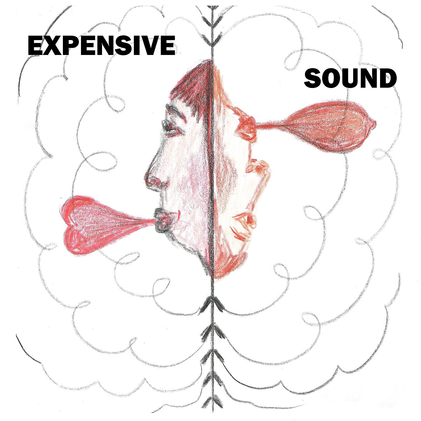 Постер альбома Expensive Sound
