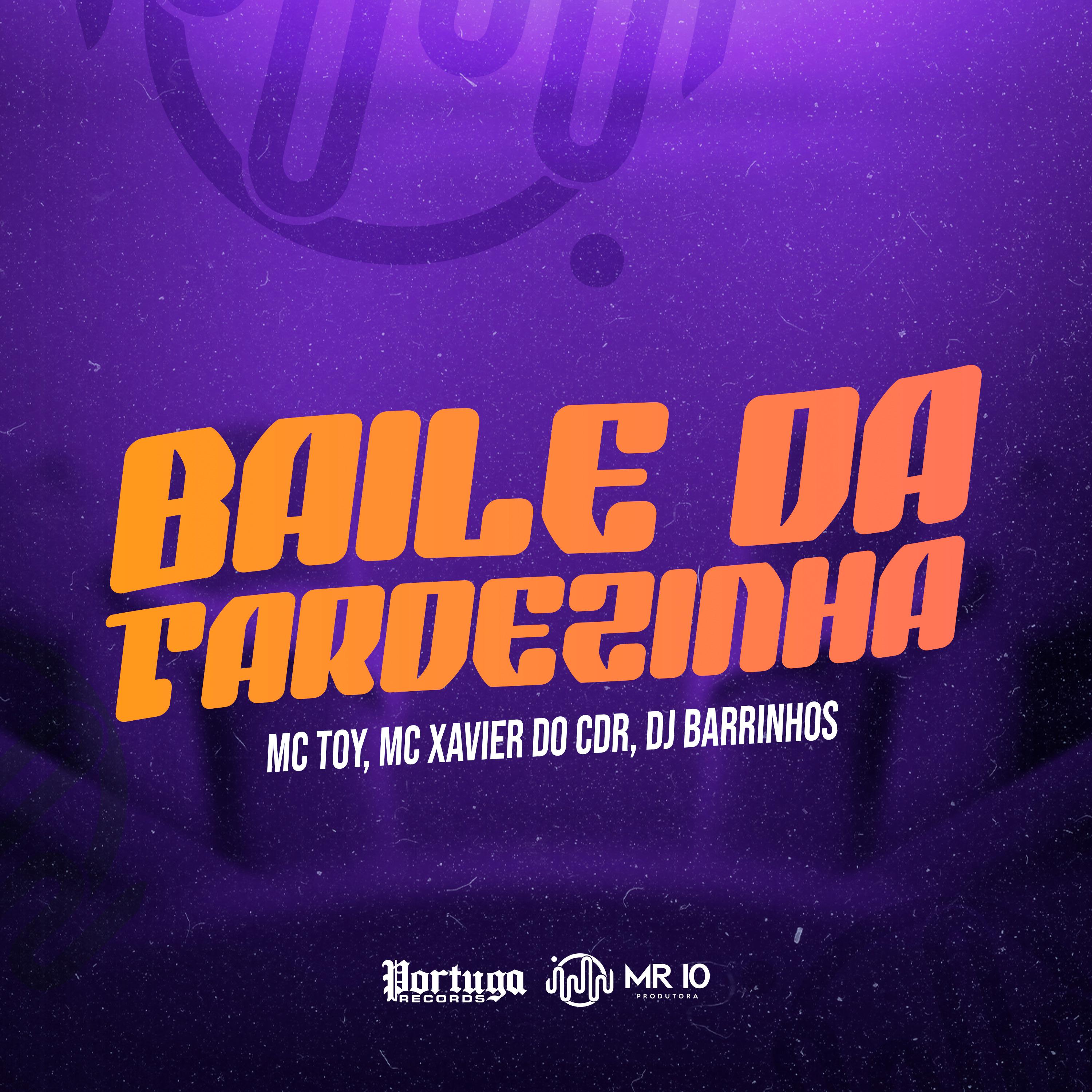 Постер альбома Baile da Tardezinha