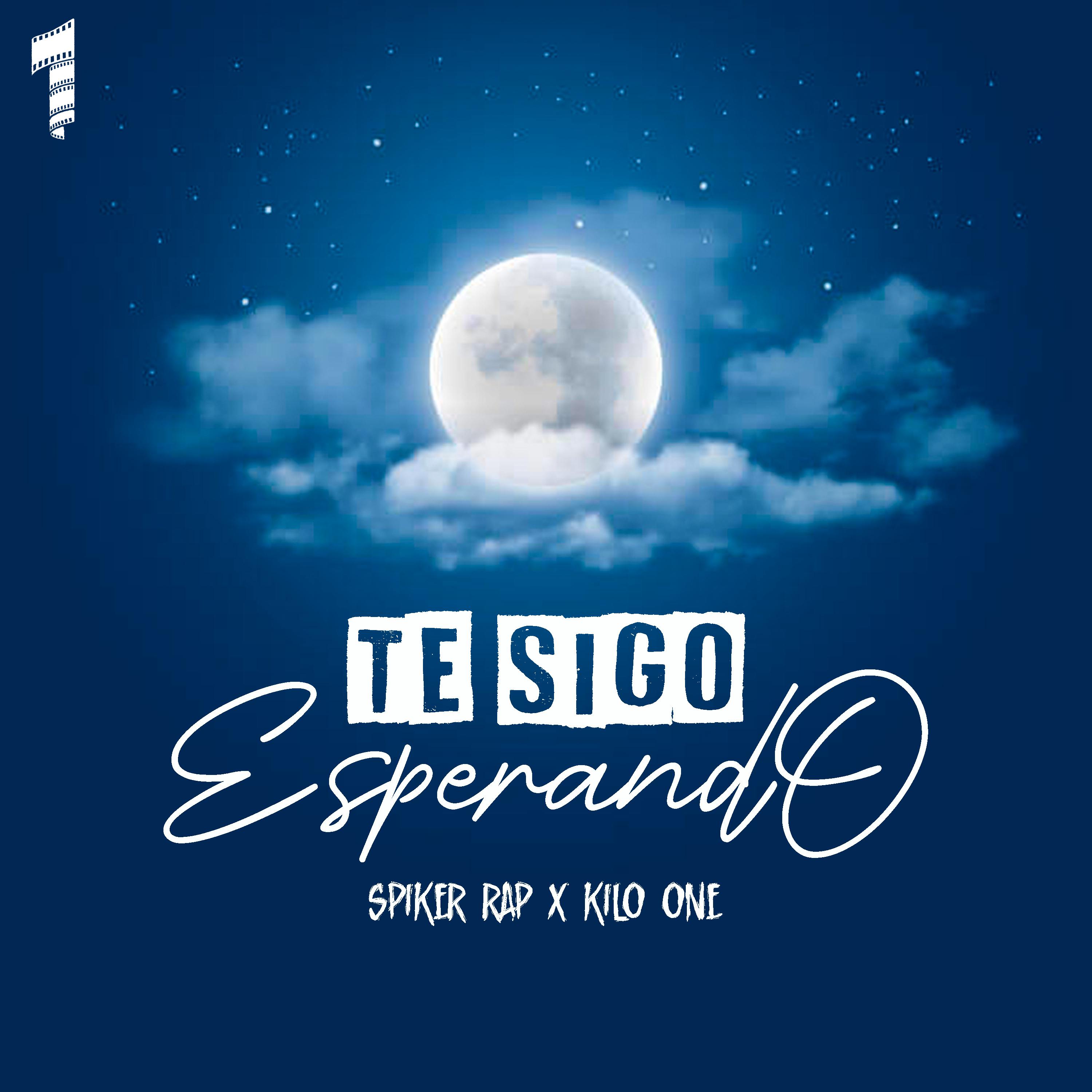 Постер альбома Te Sigo Esperando