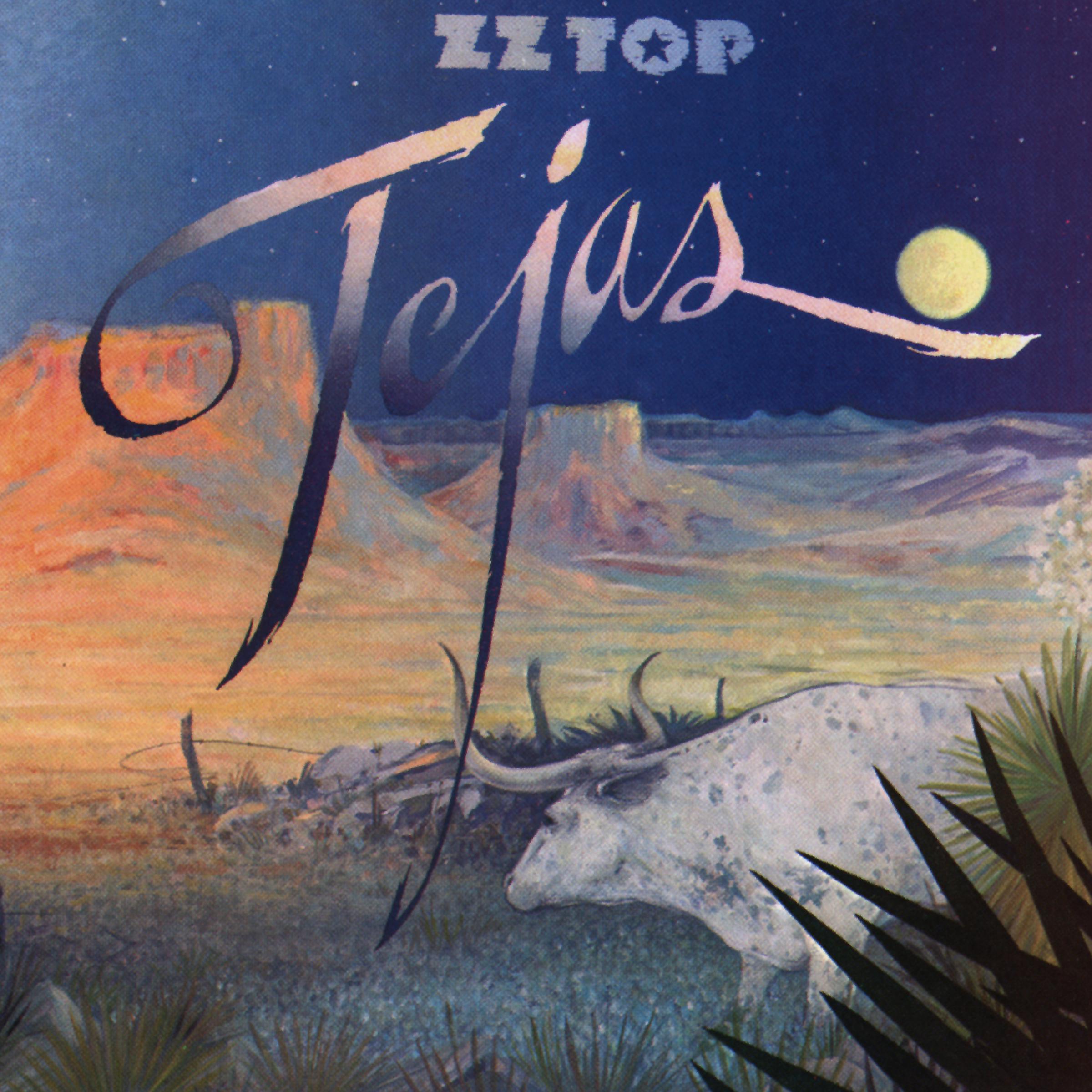 Постер альбома Tejas