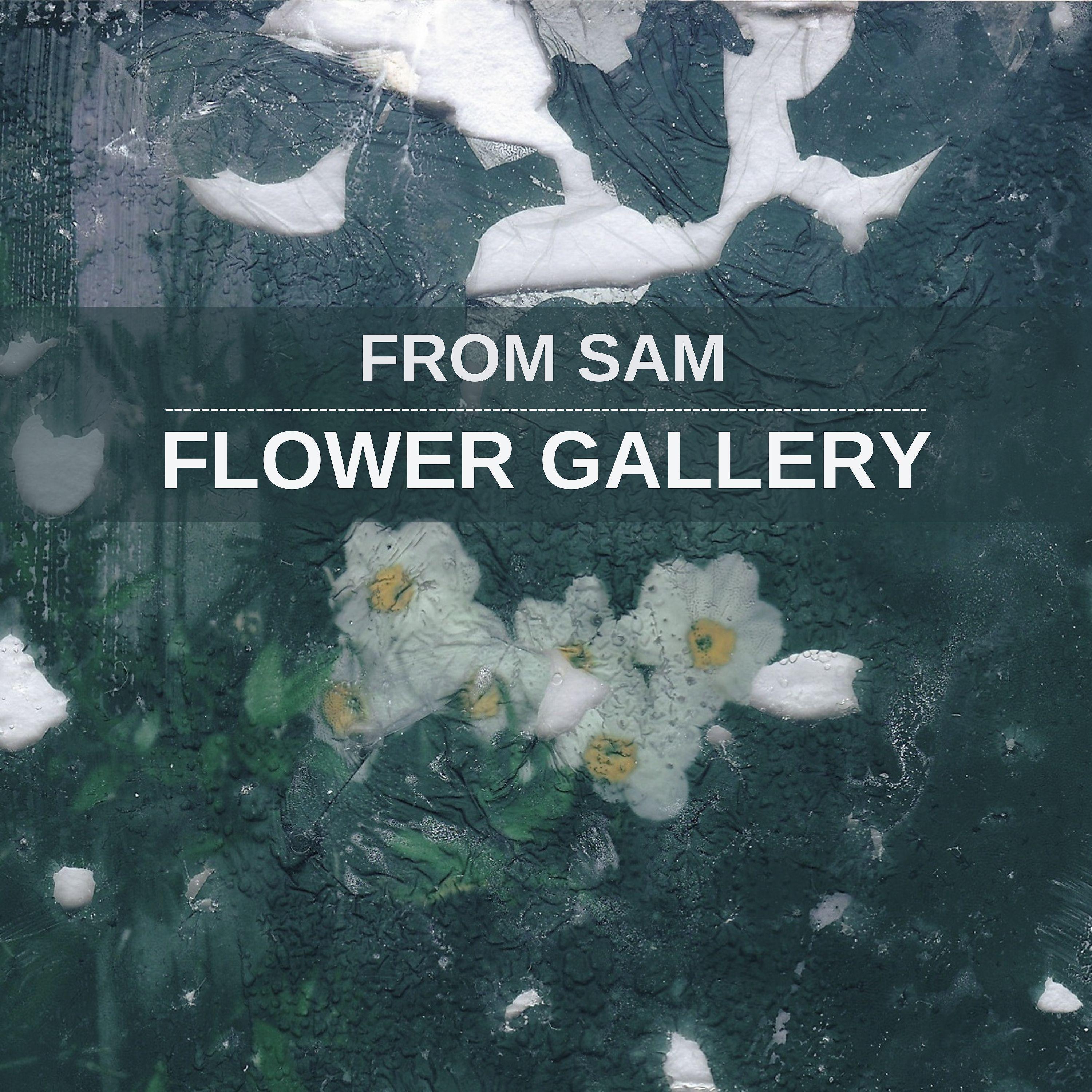 Постер альбома Flower Gallery
