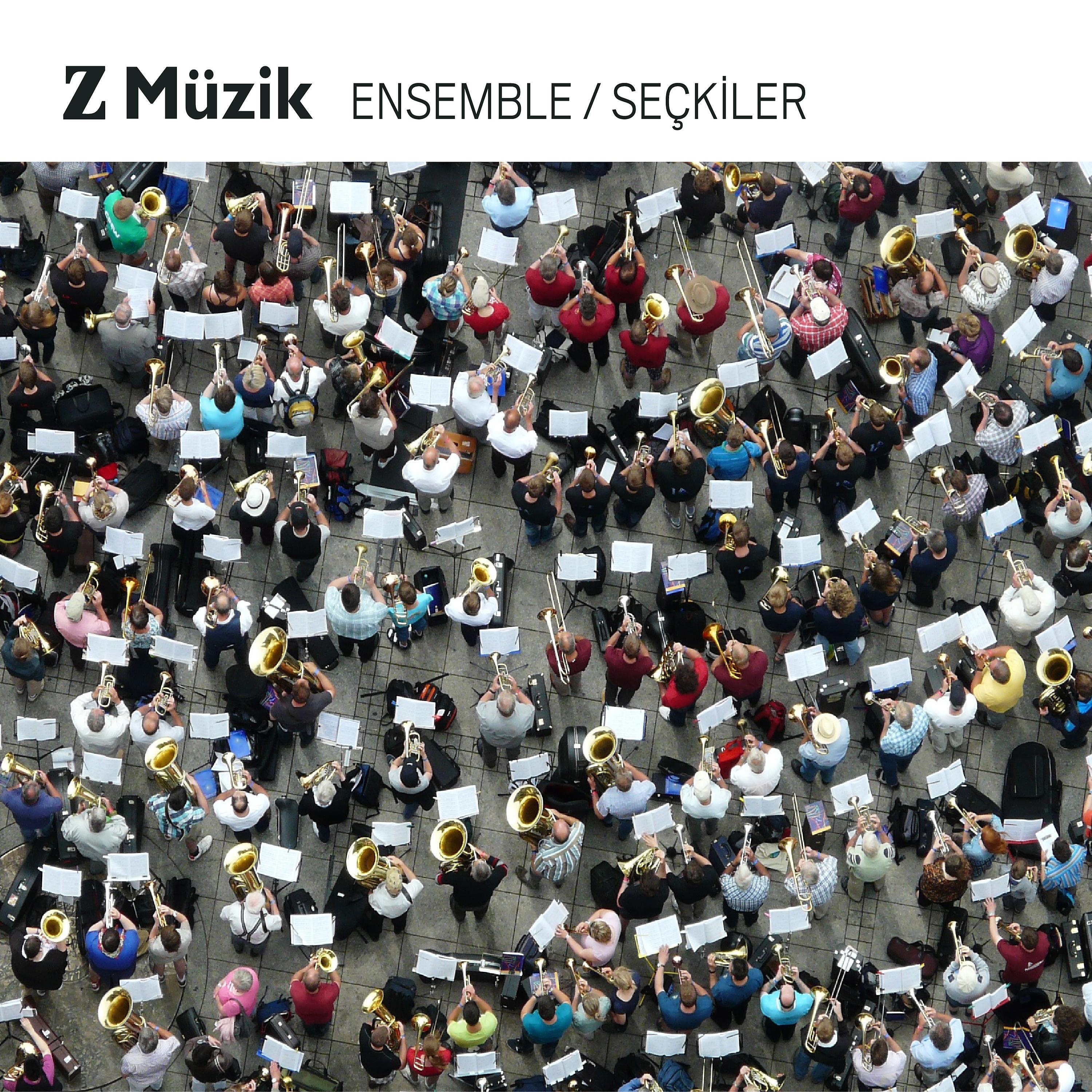 Постер альбома Z Müzik Ensemble