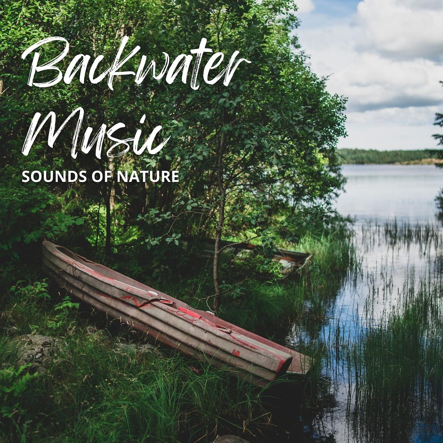 Постер альбома Sounds of Nature: Backwater Music