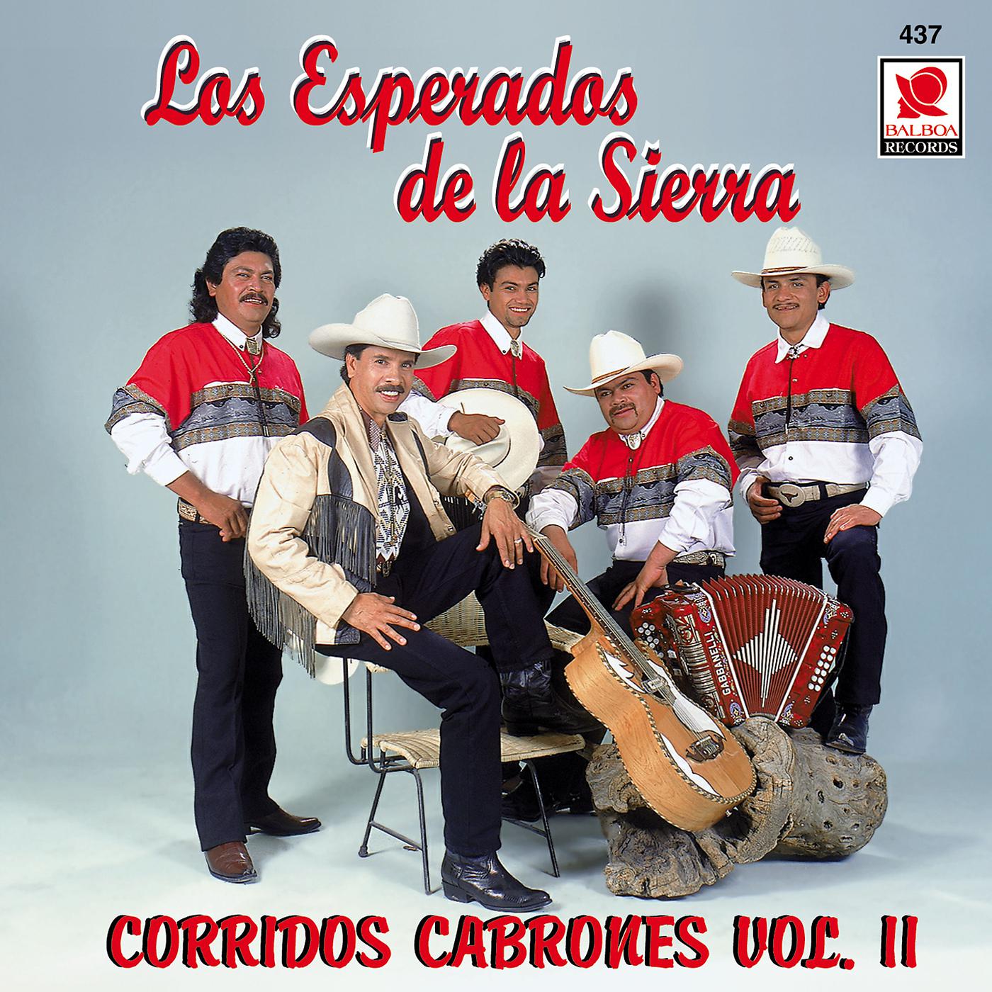 Постер альбома Corridos Cabrones, Vol. 2