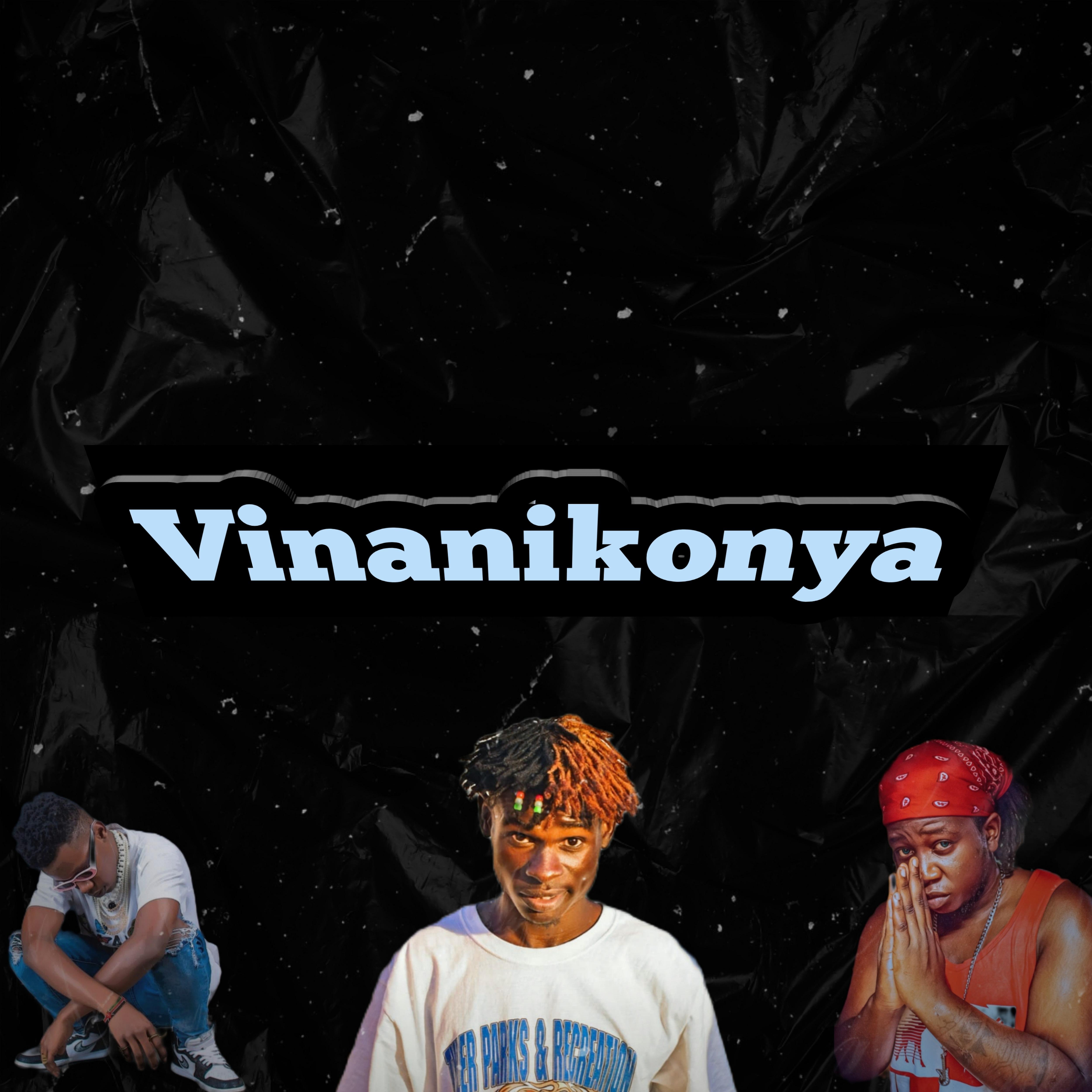 Постер альбома Vinanikonya