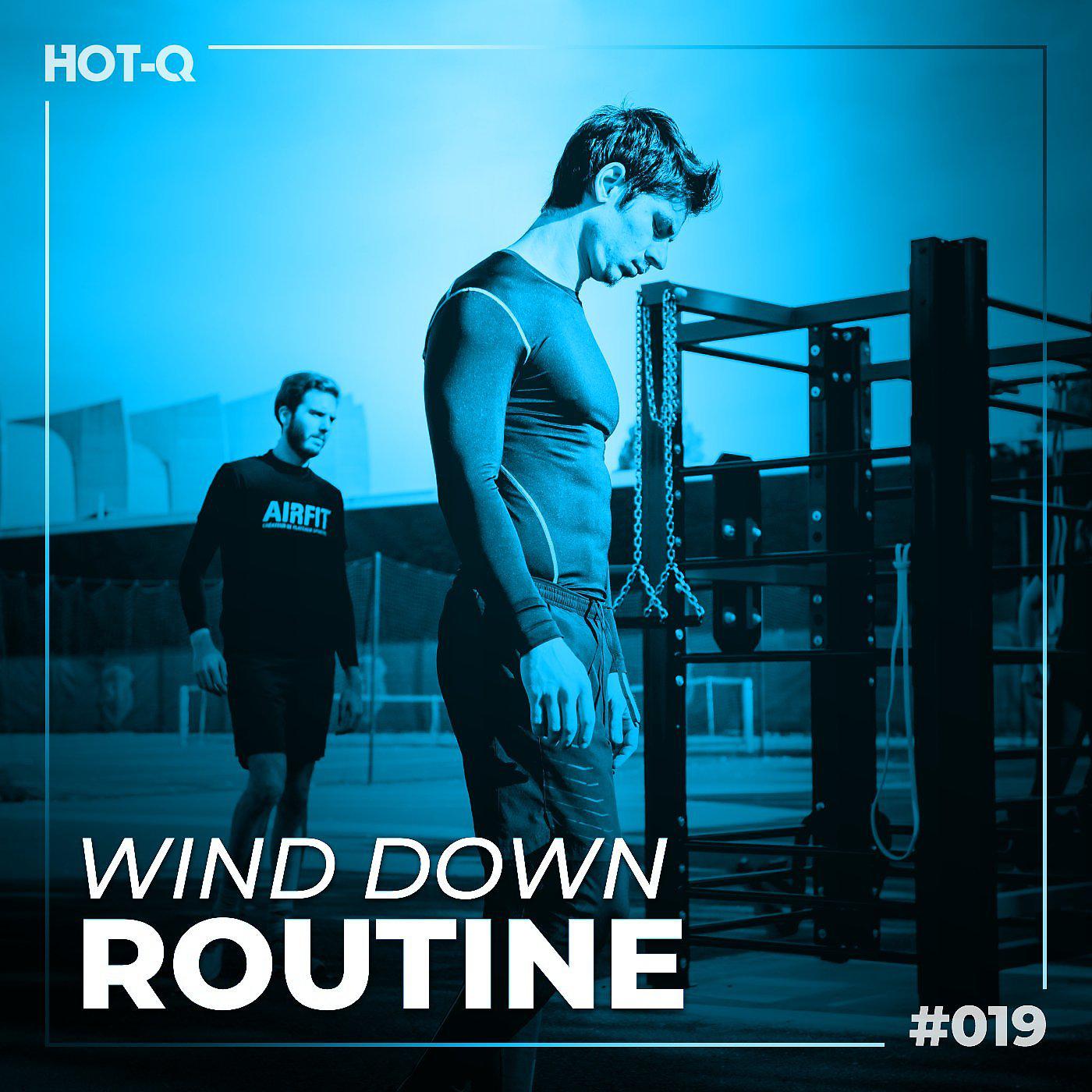 Постер альбома Wind Down Routine 019