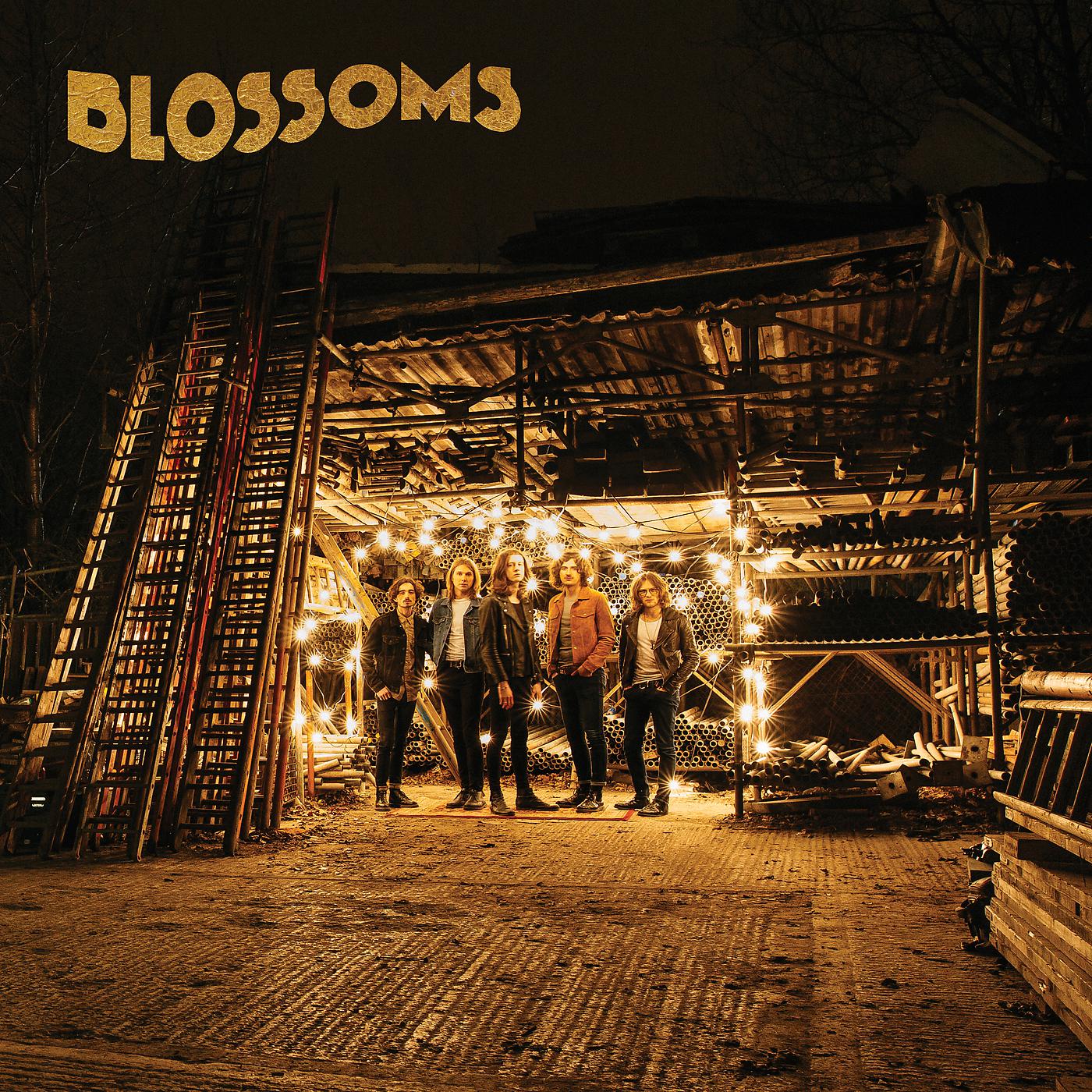 Постер альбома Blossoms