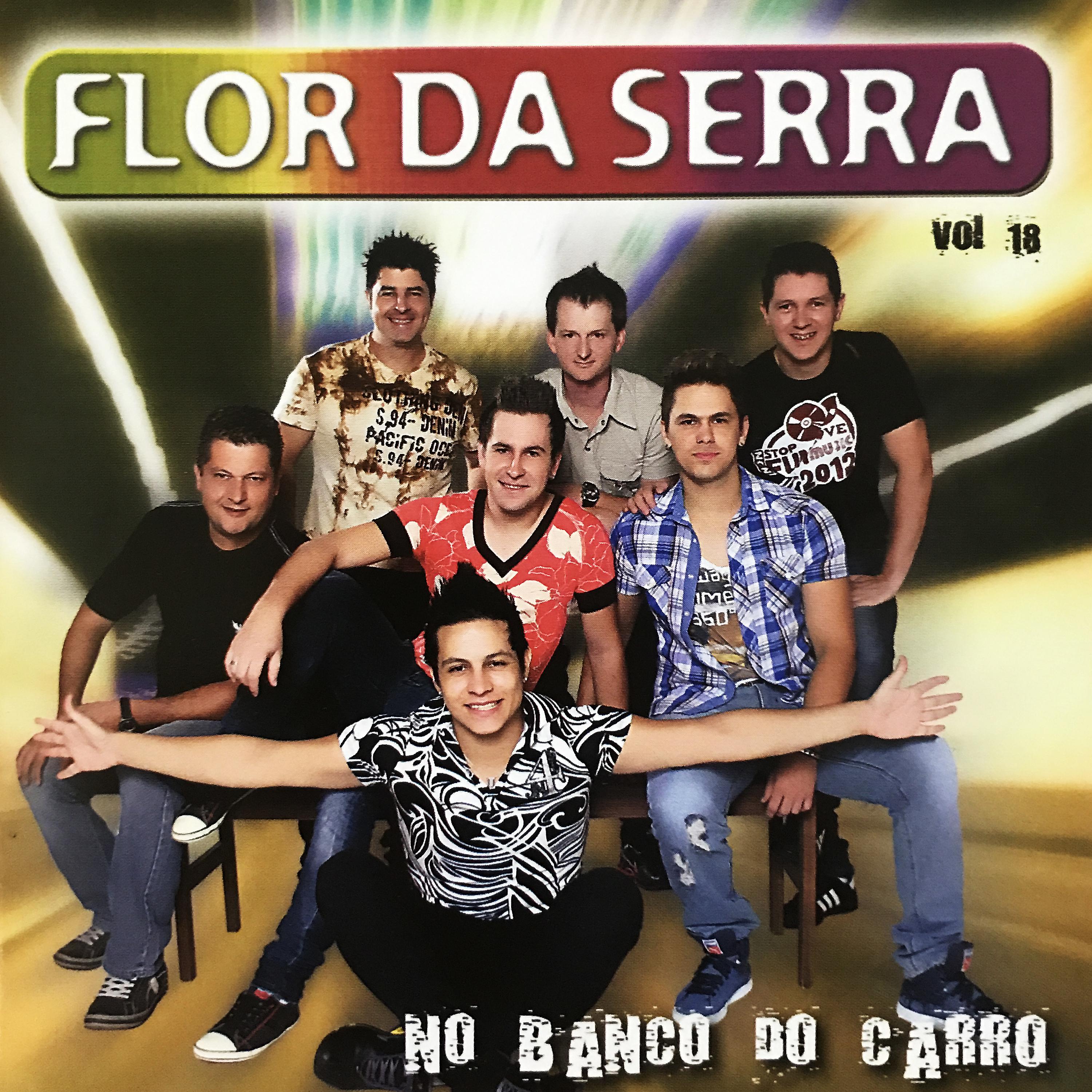 Постер альбома No Banco do Carro, Vol. 18