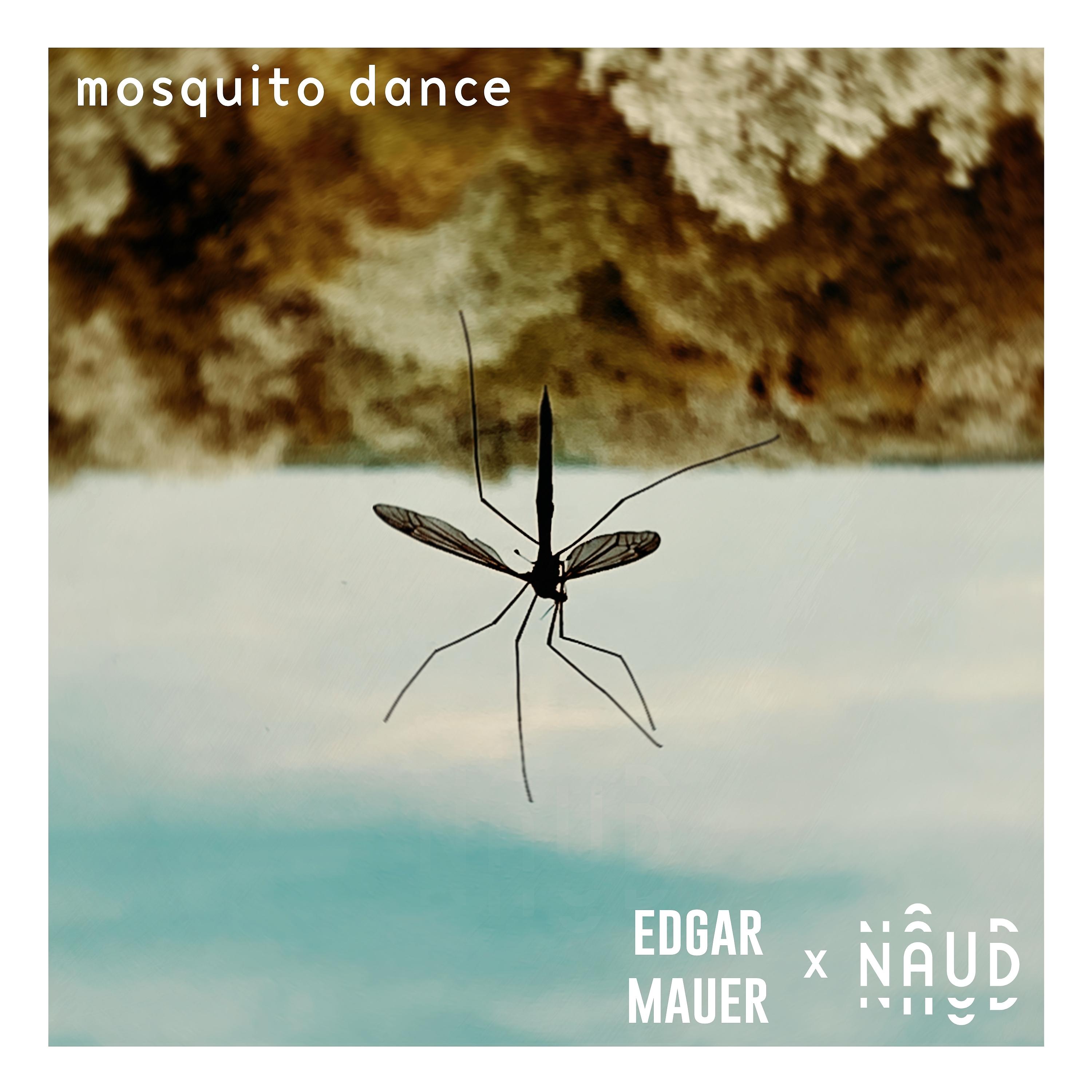 Постер альбома Mosquito Dance