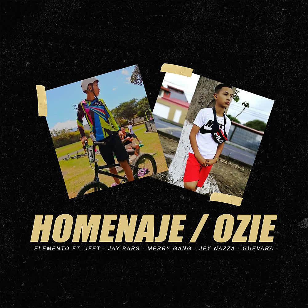 Постер альбома Homenaje / Ozie