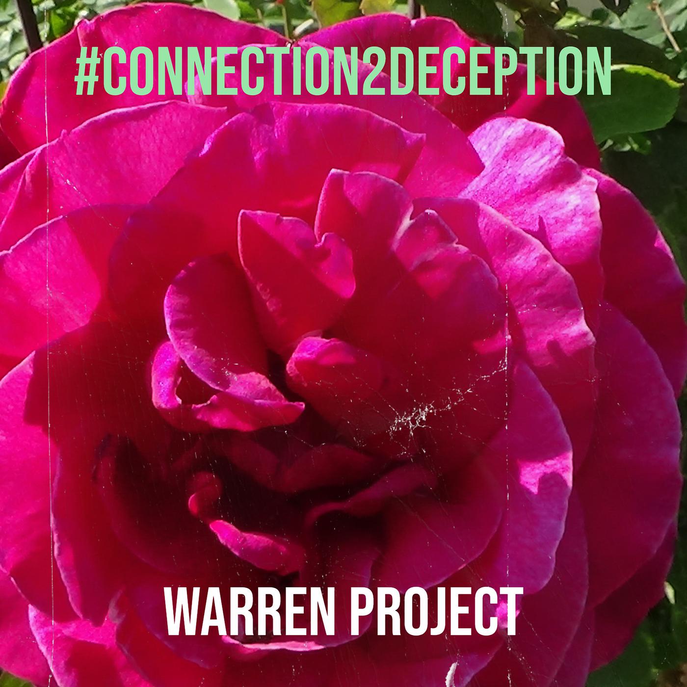Постер альбома #Connection2deception