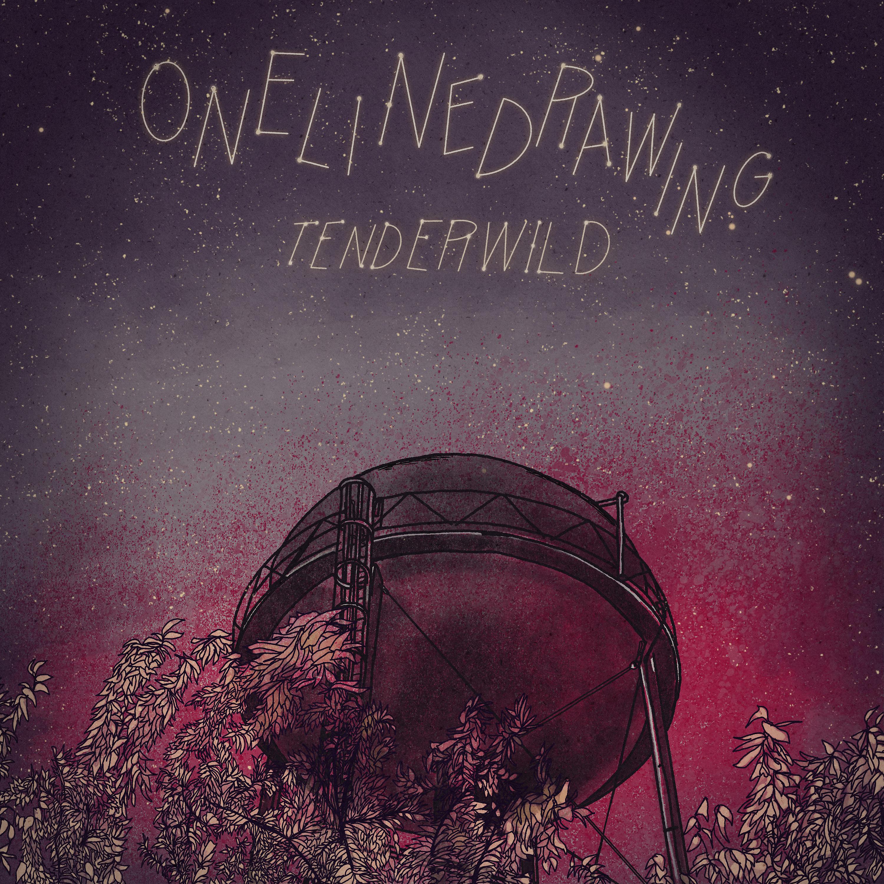 Постер альбома Tenderwild