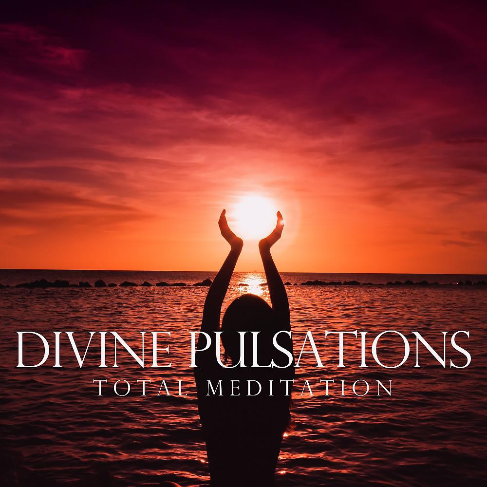 Постер альбома Divine Pulsations (Total Meditation)