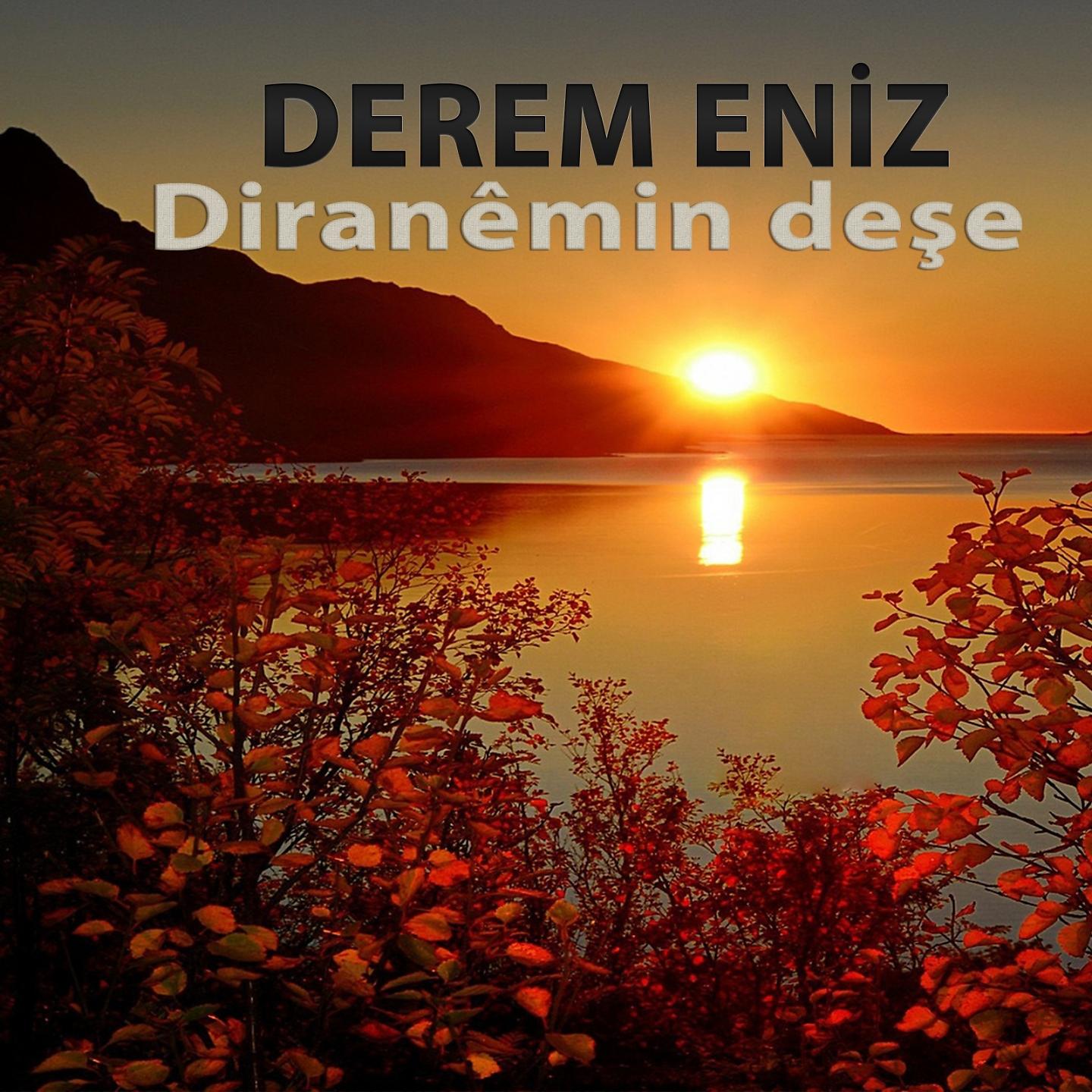 Постер альбома Diranêmin Deşe