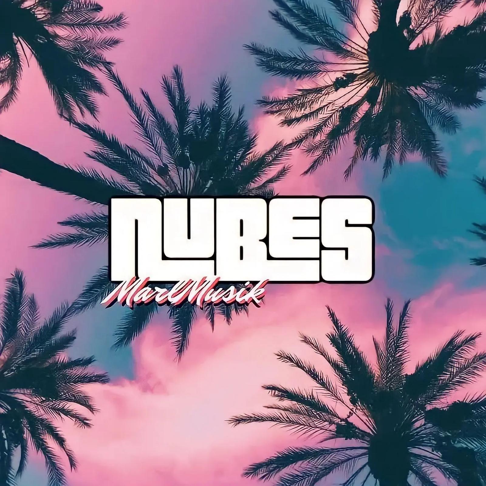 Постер альбома Nube$