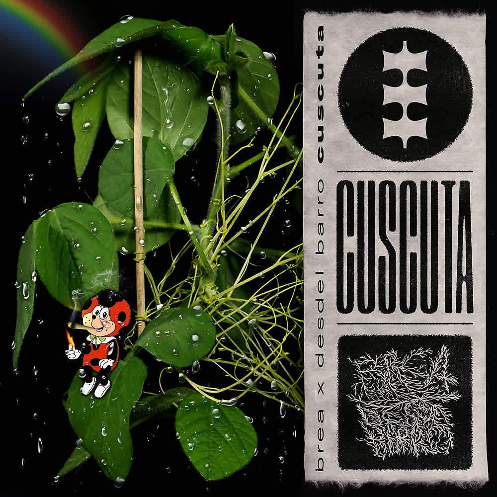 Постер альбома Cuscuta