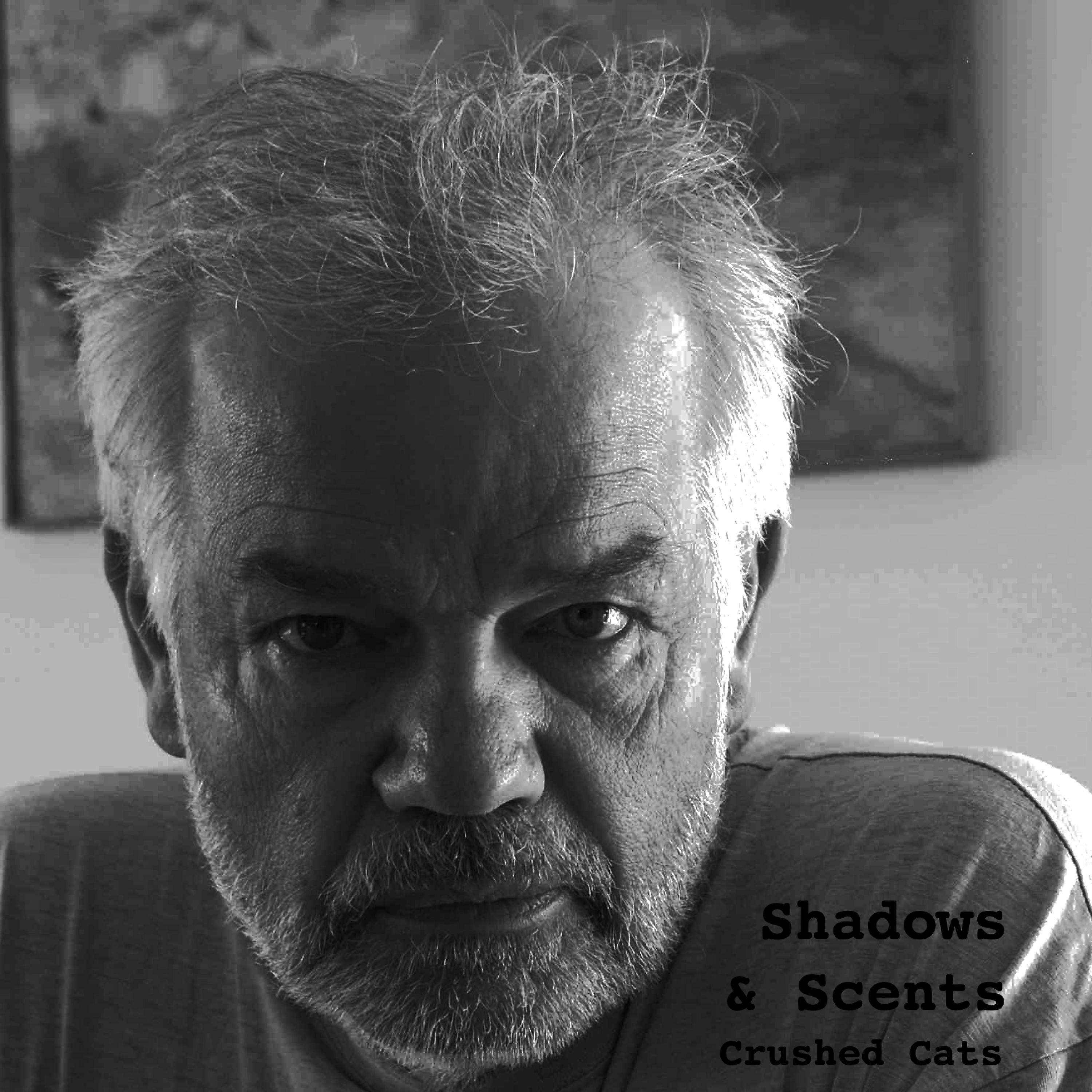 Постер альбома Shadows & Scents