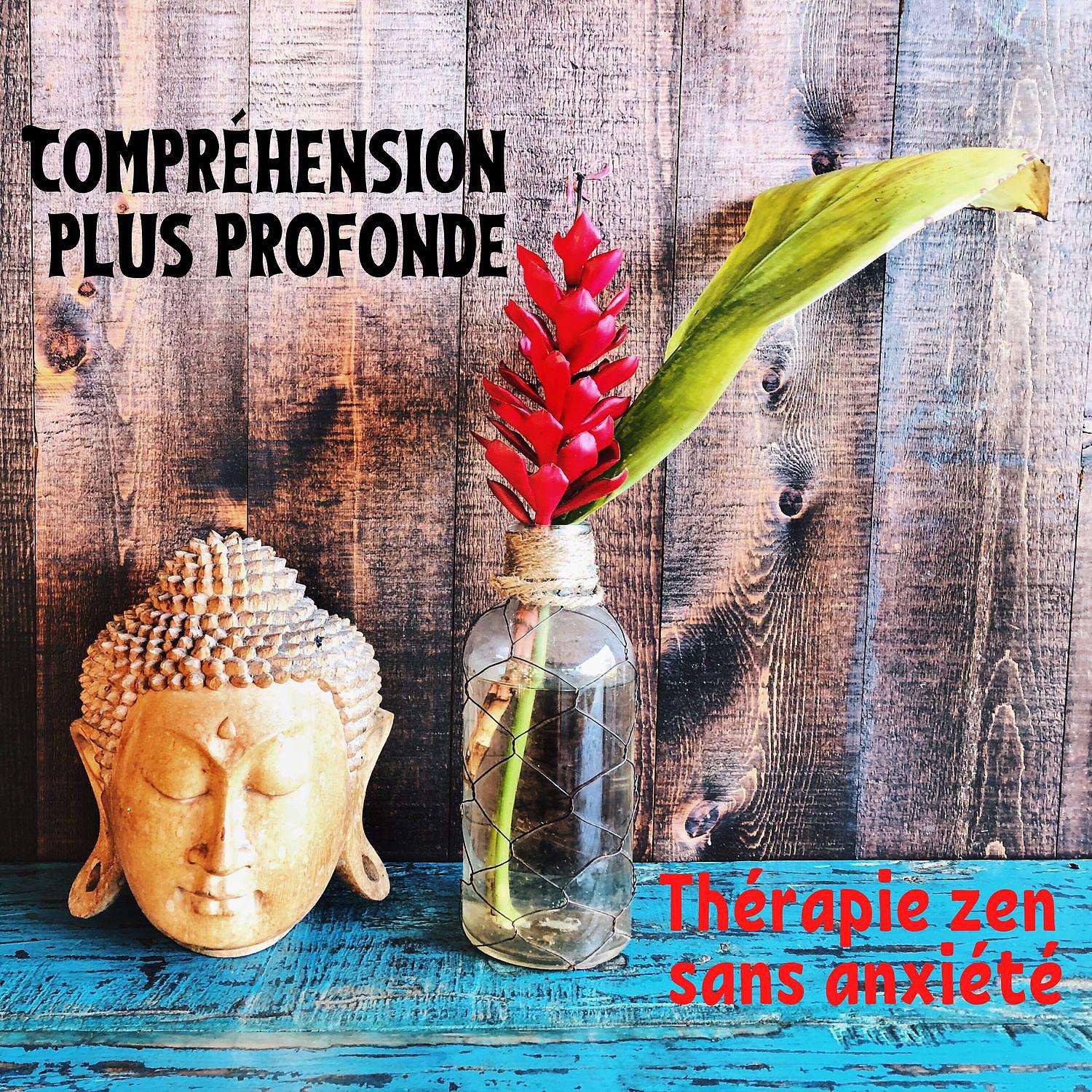 Постер альбома Compréhension plus profonde: Thérapie zen sans anxiété
