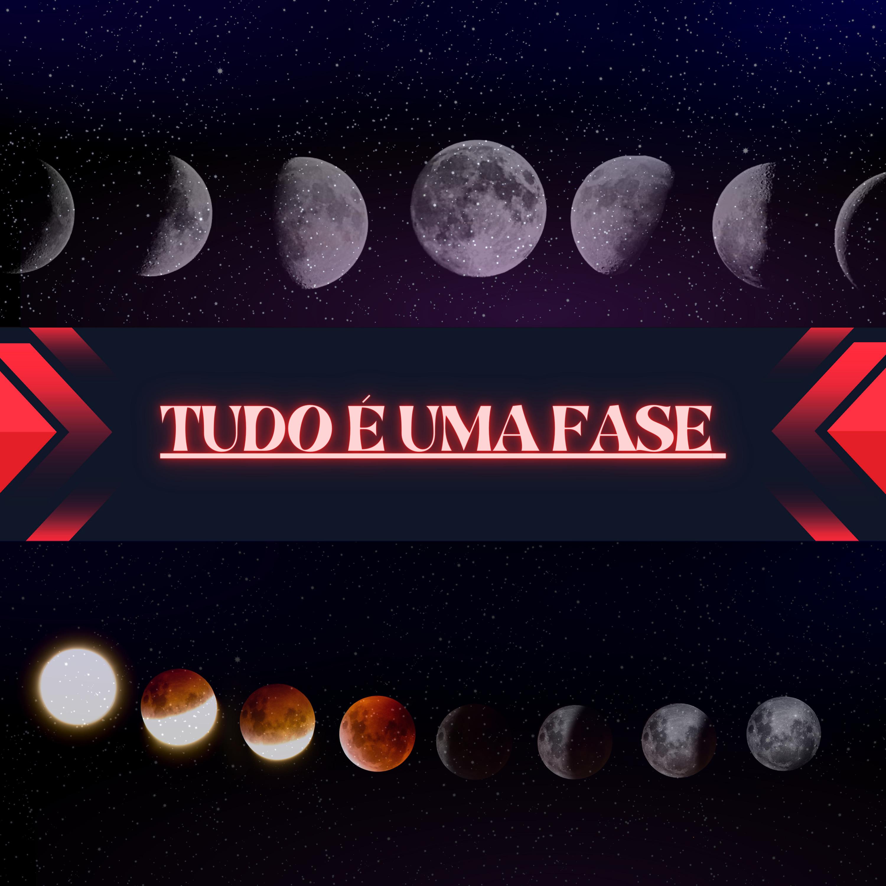 Постер альбома Tudo É uma Fase