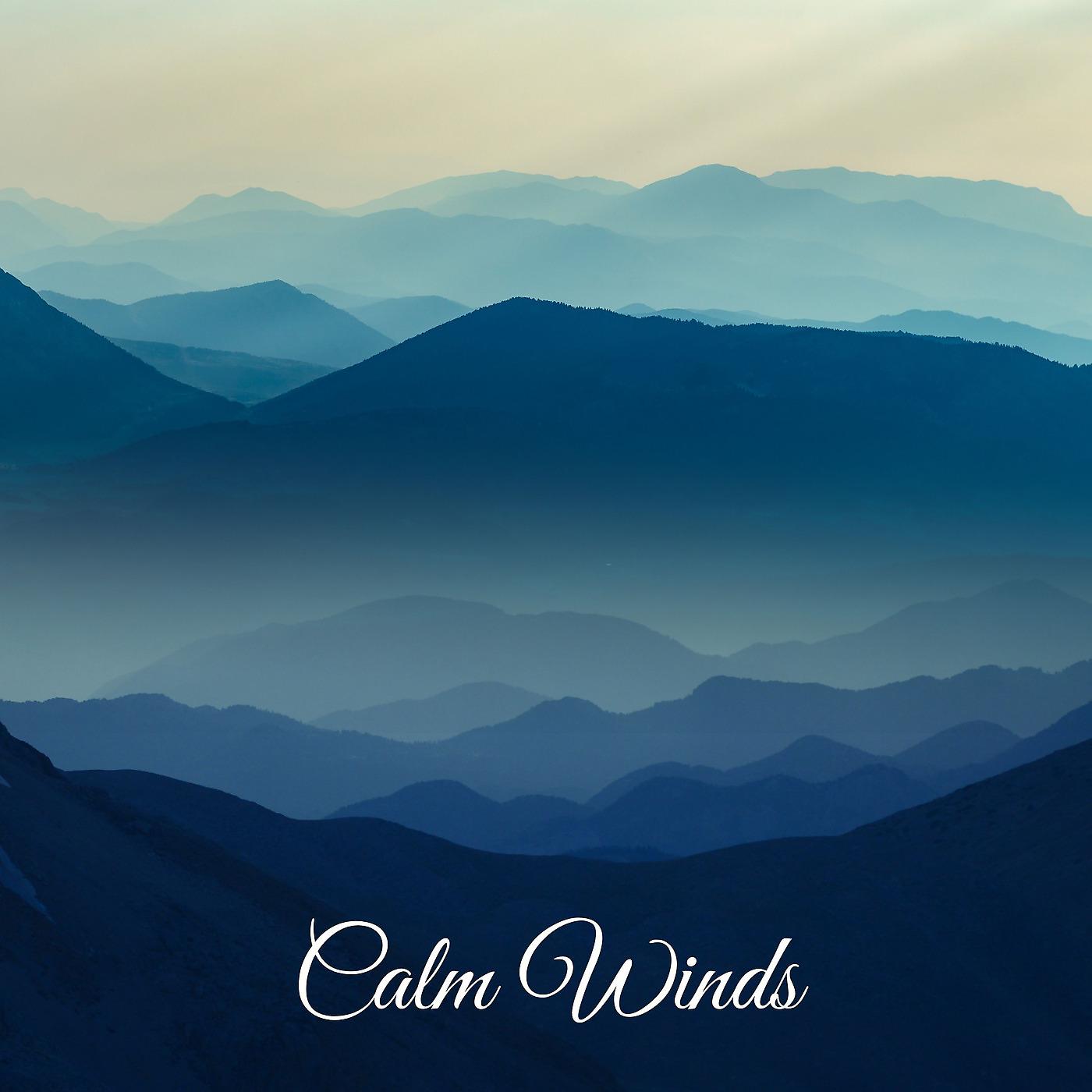 Постер альбома Calm Winds