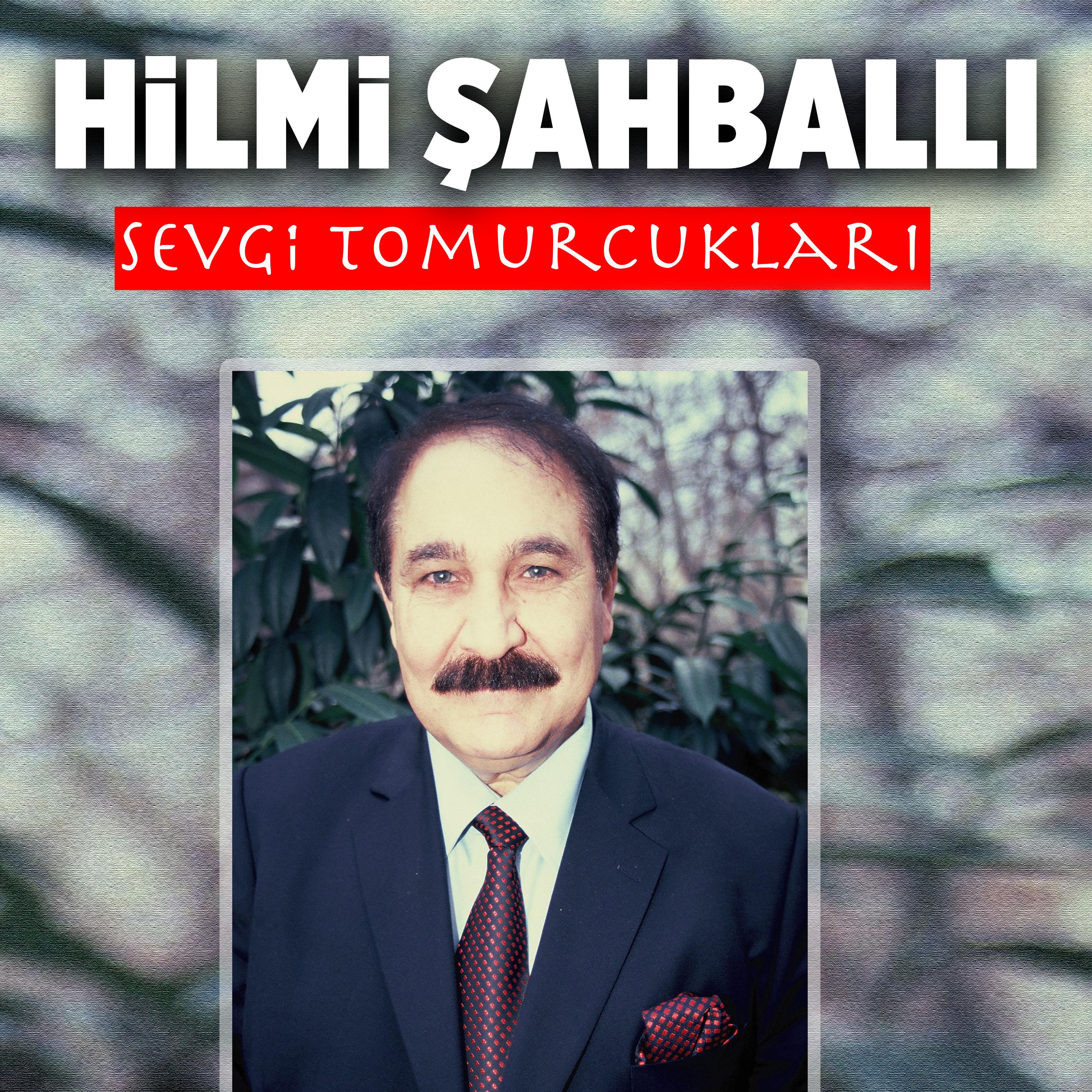 Постер альбома Sevgi Tomurcukları