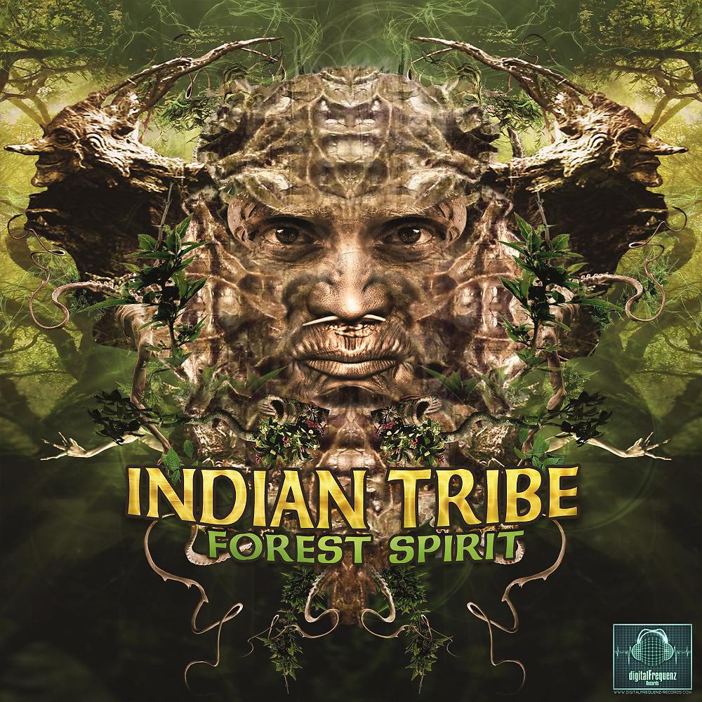 Постер альбома Forest Spirit