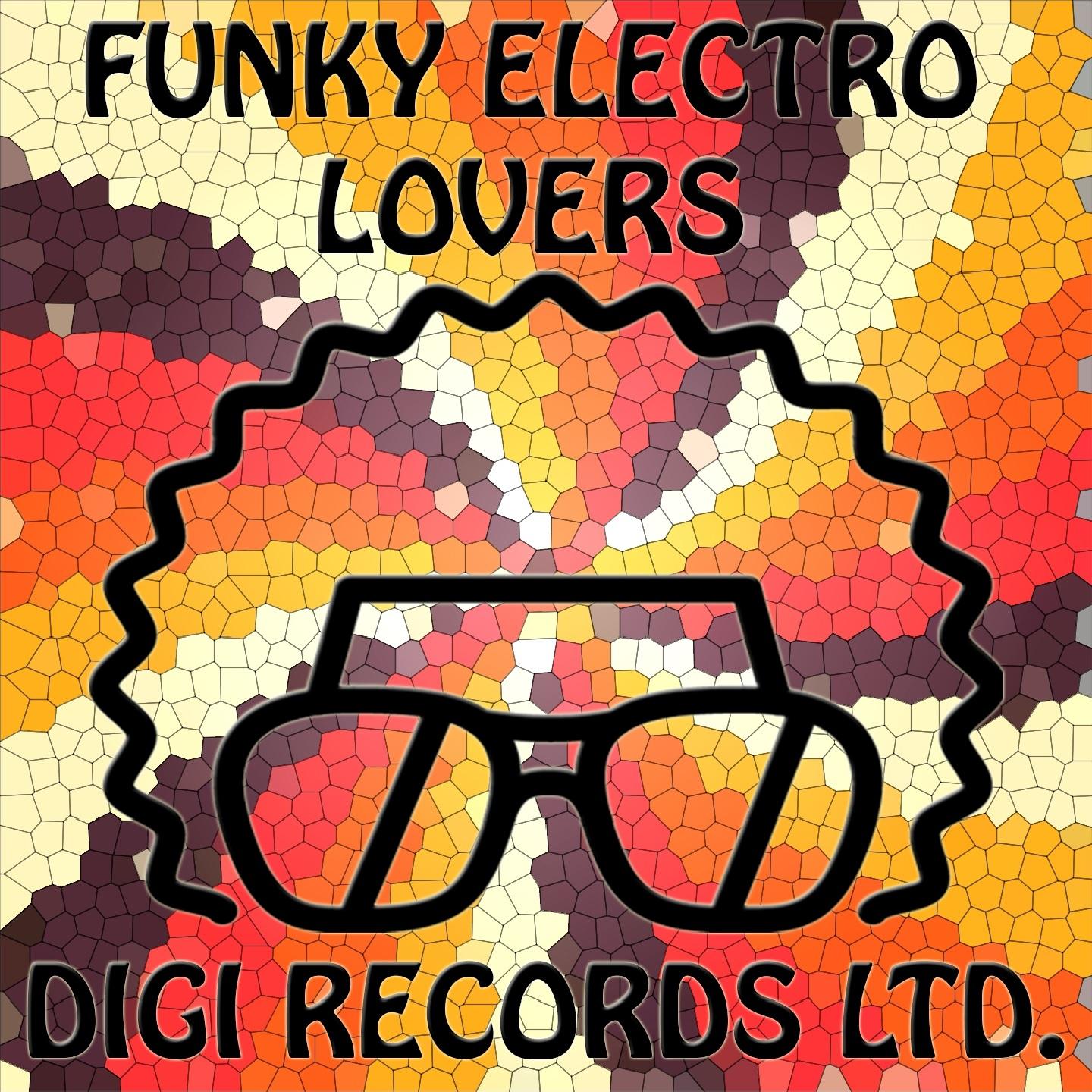Постер альбома Funky Electro Lover