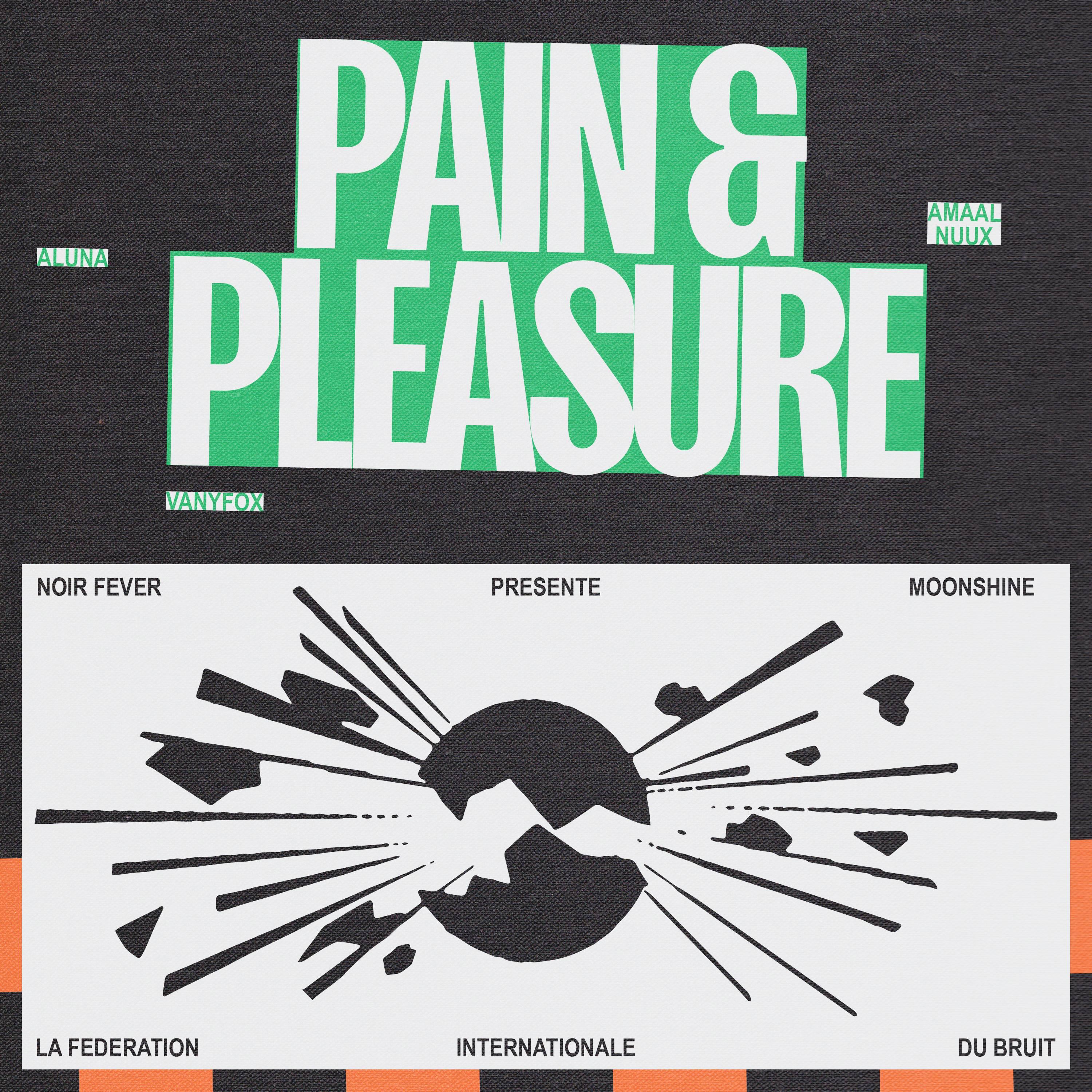 Постер альбома Pain & Pleasure (feat. VANYFOX & Fédération Internationale du Bruit)