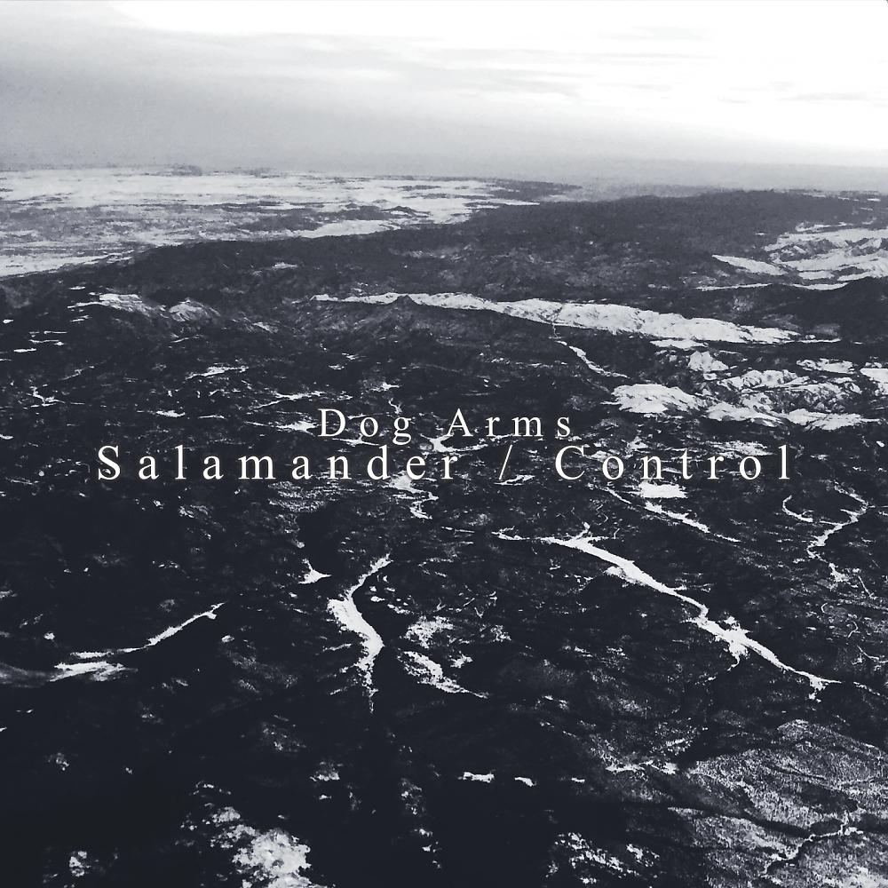 Постер альбома Salamander / Control