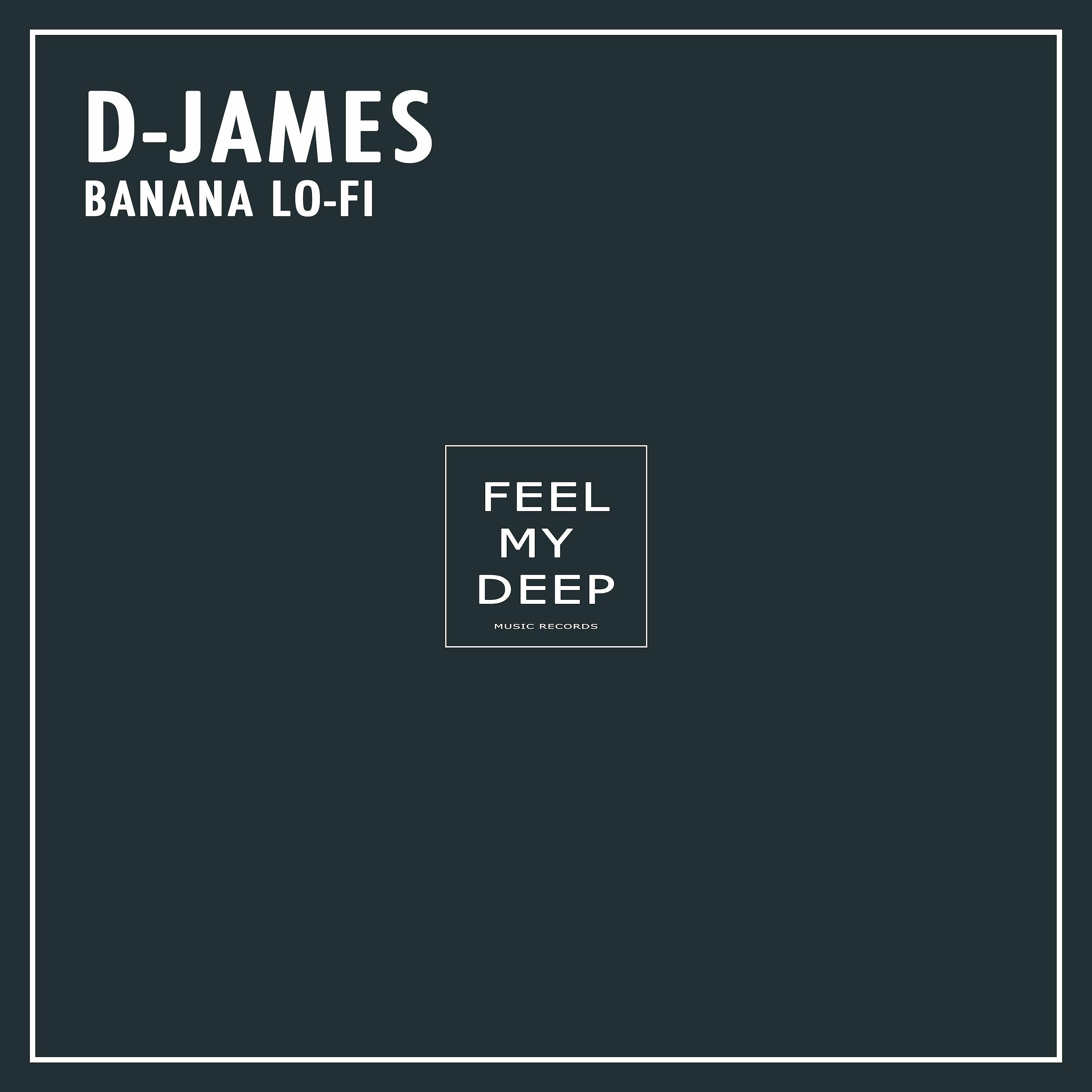 Постер альбома Banana Lo-Fi