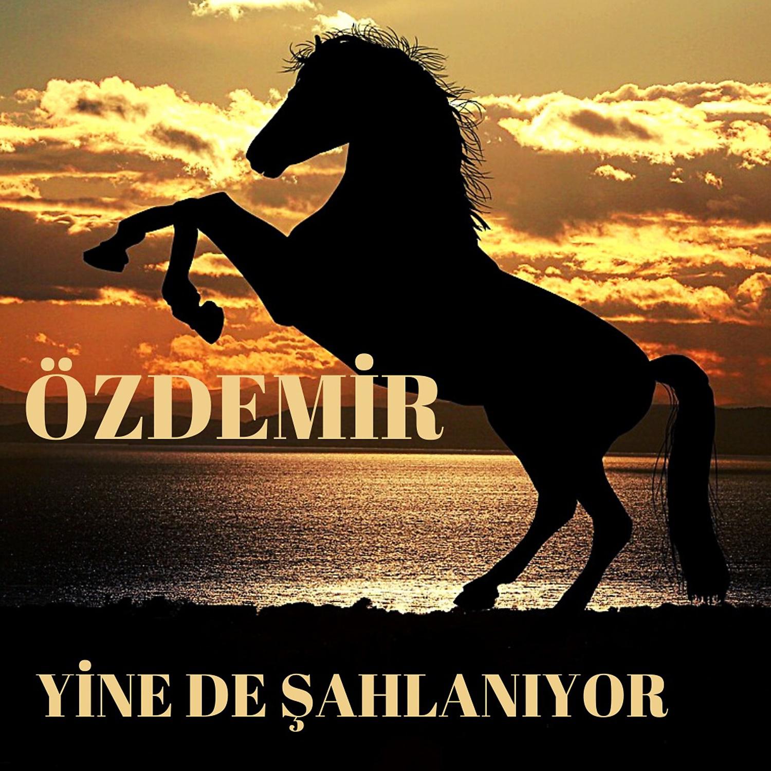 Постер альбома Yine De Şahlanıyor