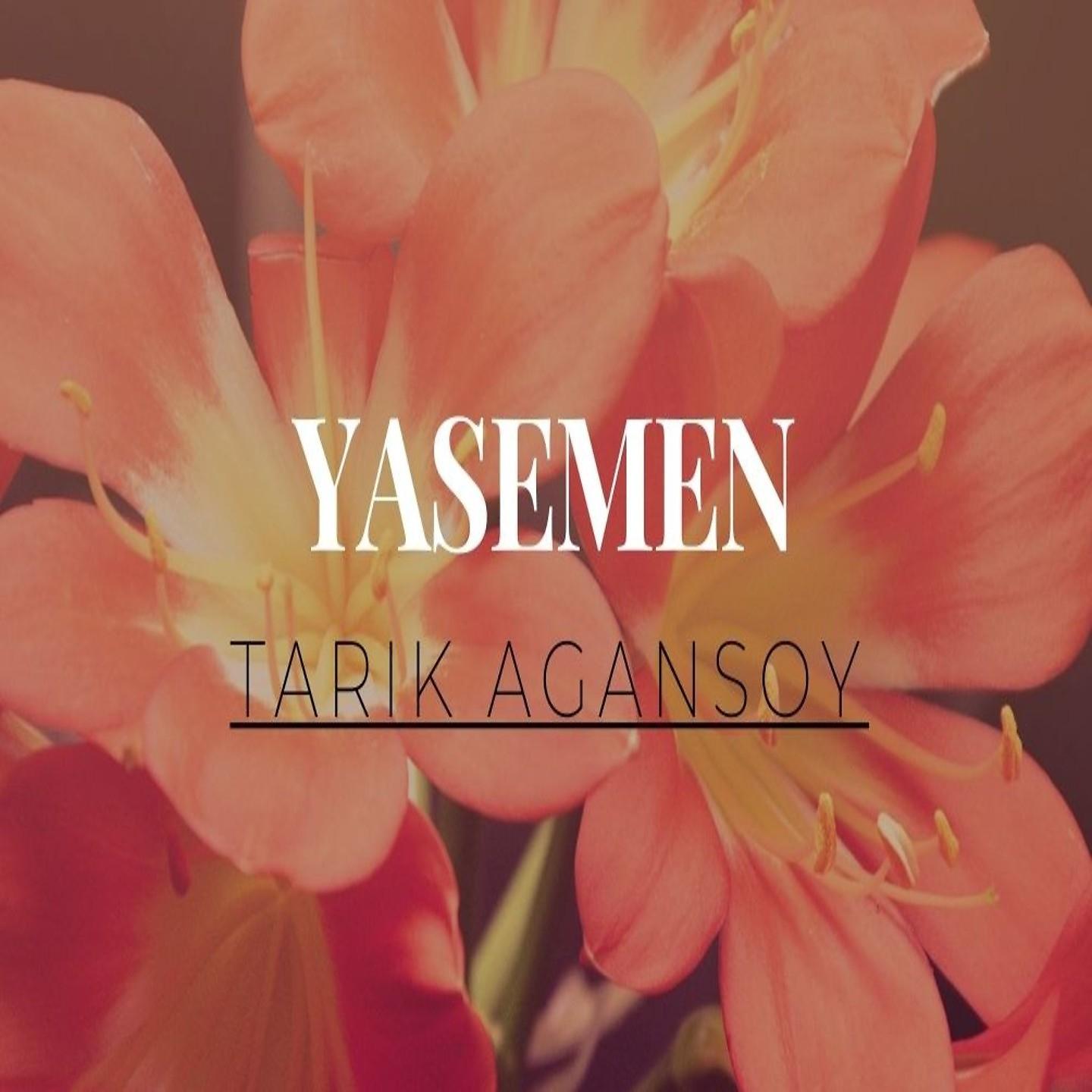 Постер альбома Yasemen