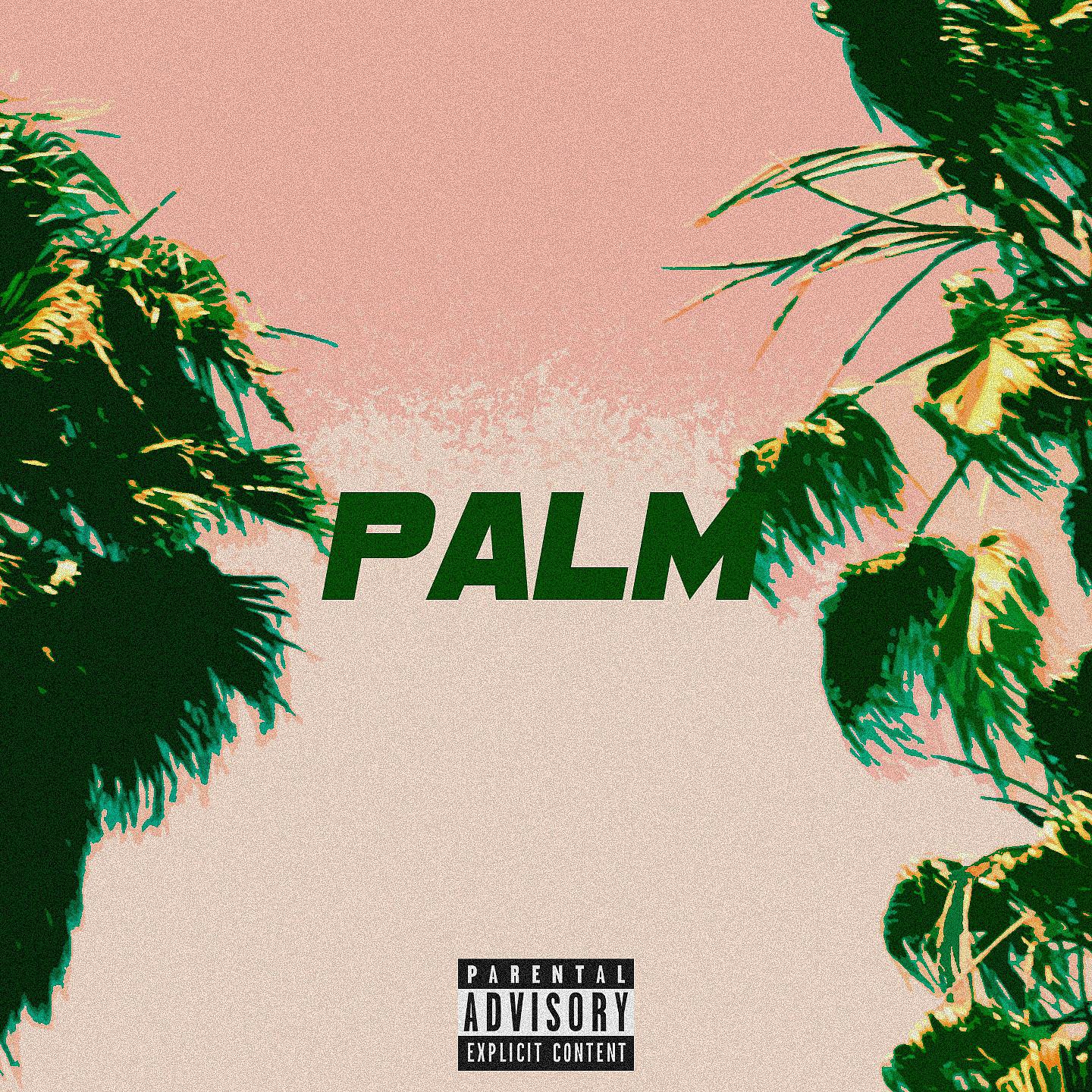 Постер альбома Palm