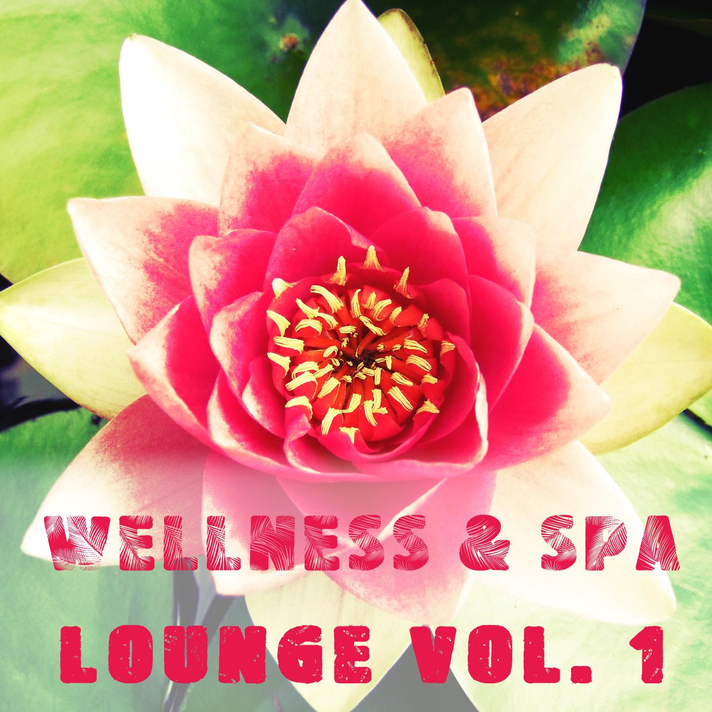 Постер альбома Wellness & Spa Lounge, Vol. 1