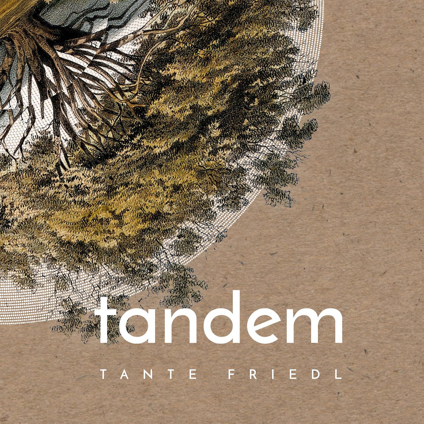 Постер альбома Tandem