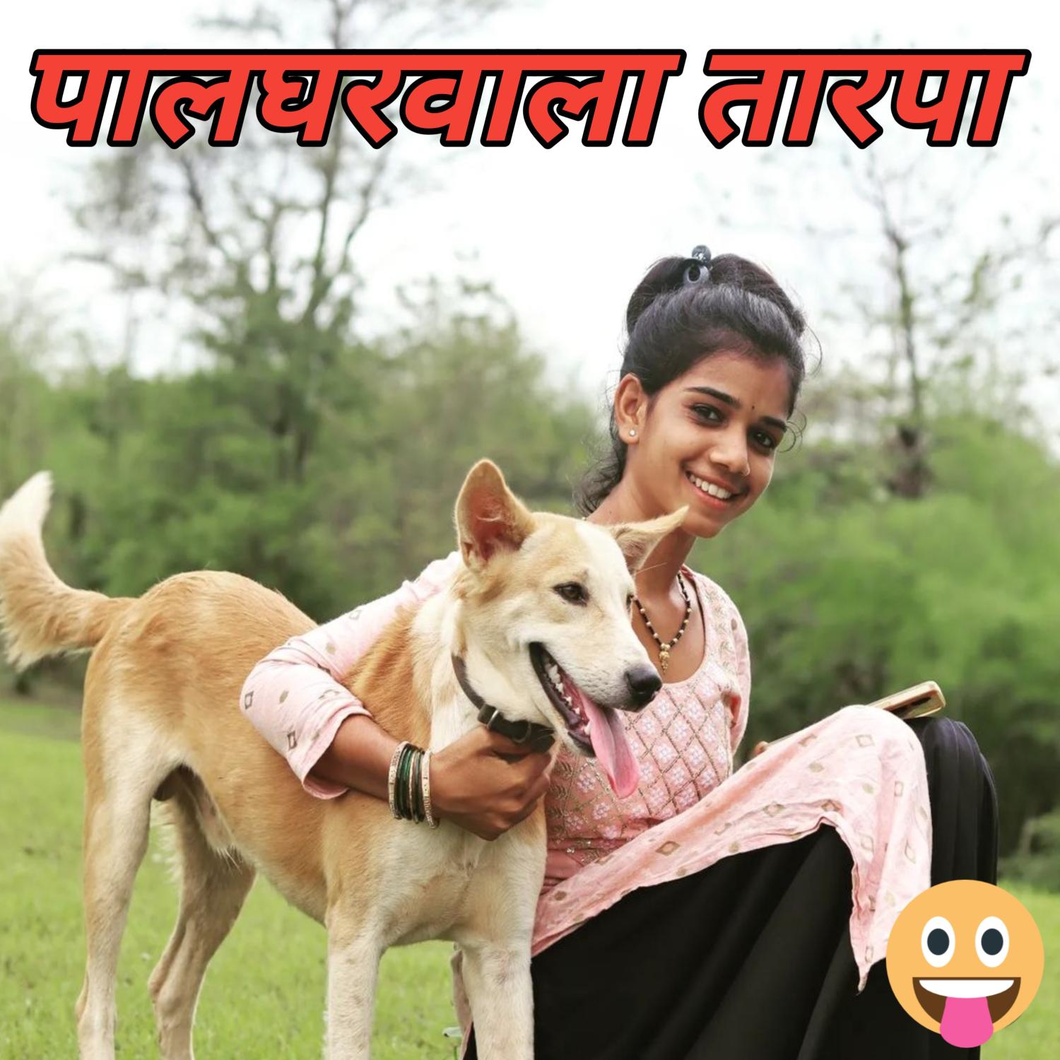 Постер альбома Palgharvala Tarpa