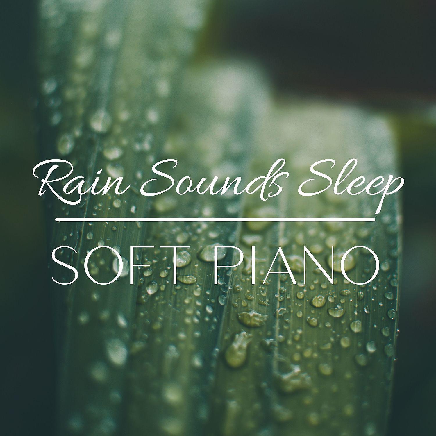 Постер альбома Rain Sounds Sleep Music, Soft Piano