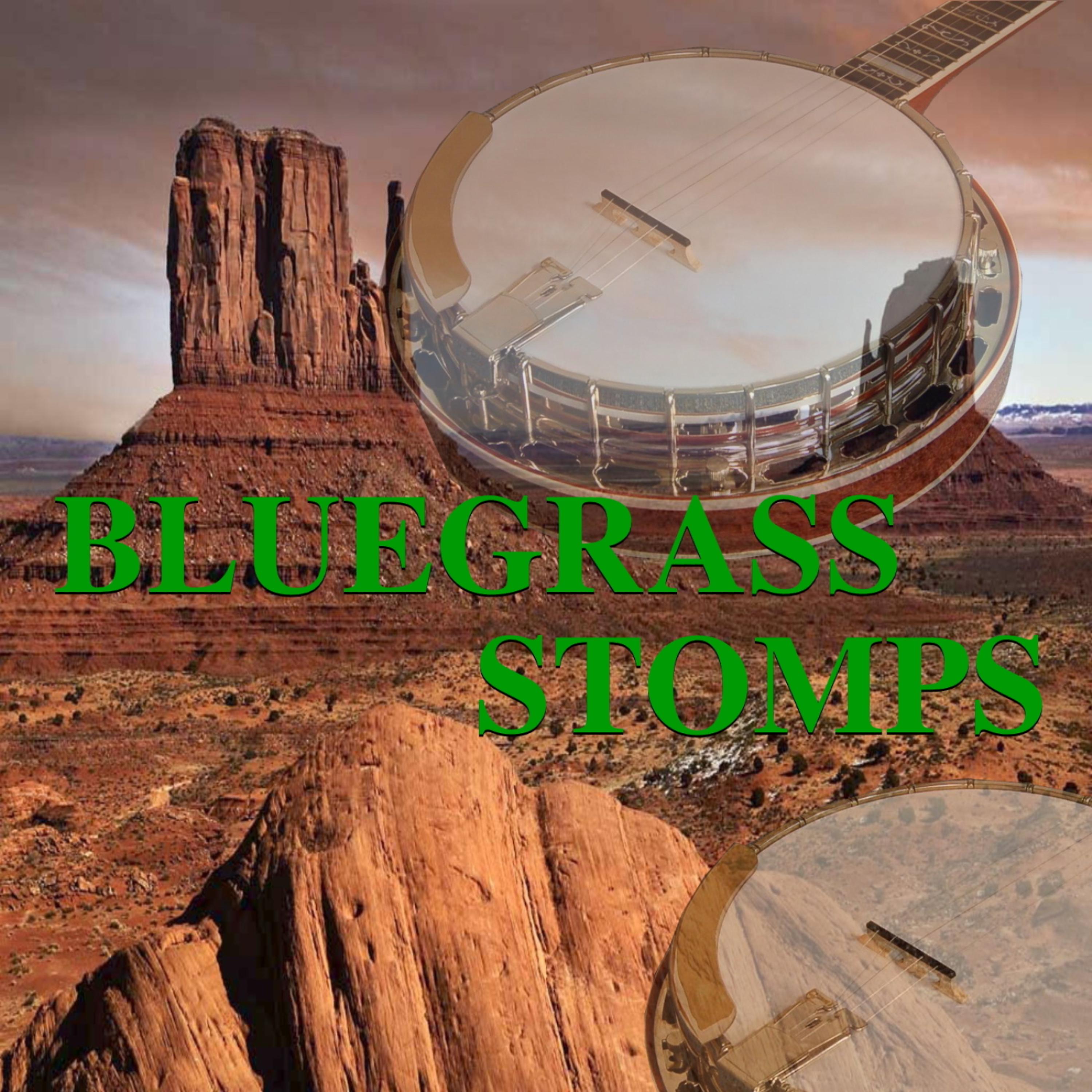 Постер альбома Bluegrass Stomps