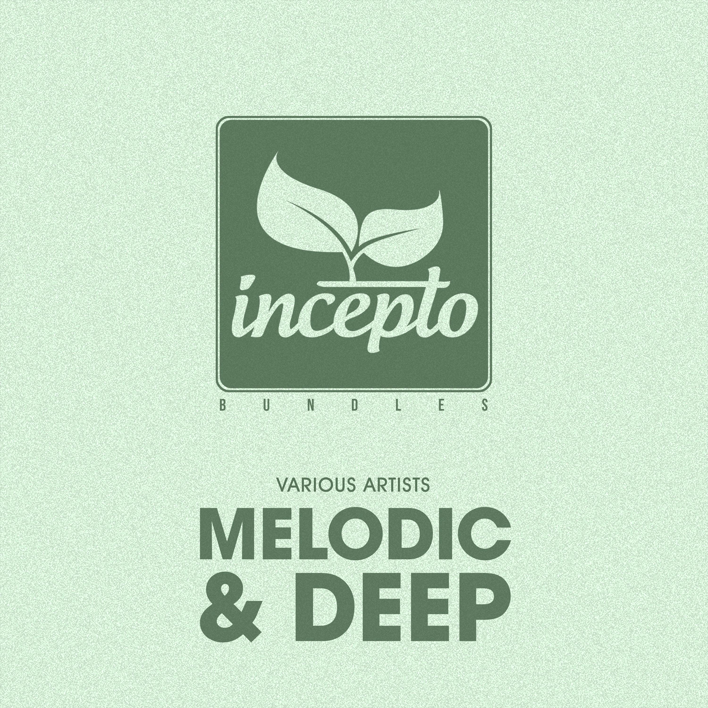 Постер альбома Melodic & Deep