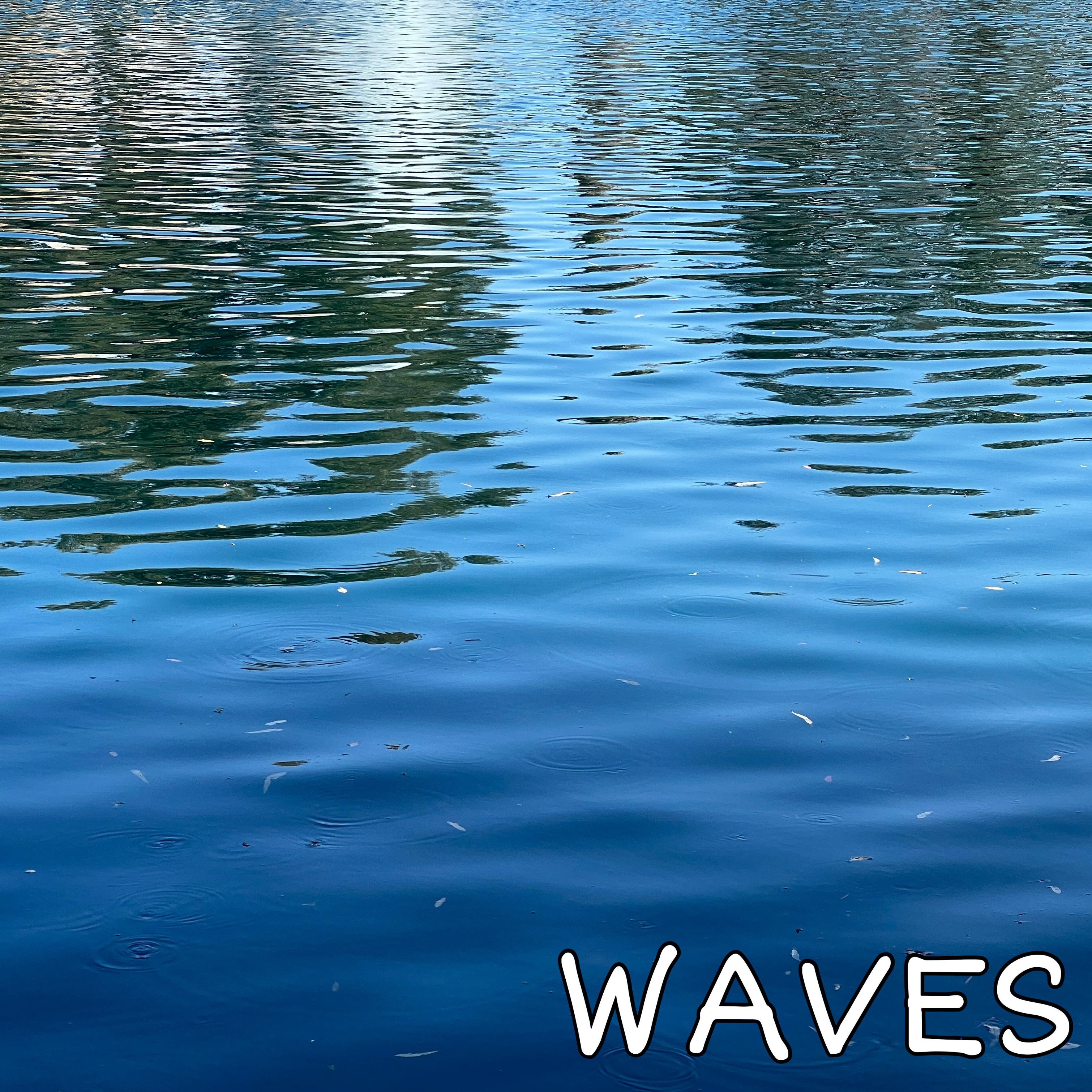 Постер альбома Waves (feat. Zach)